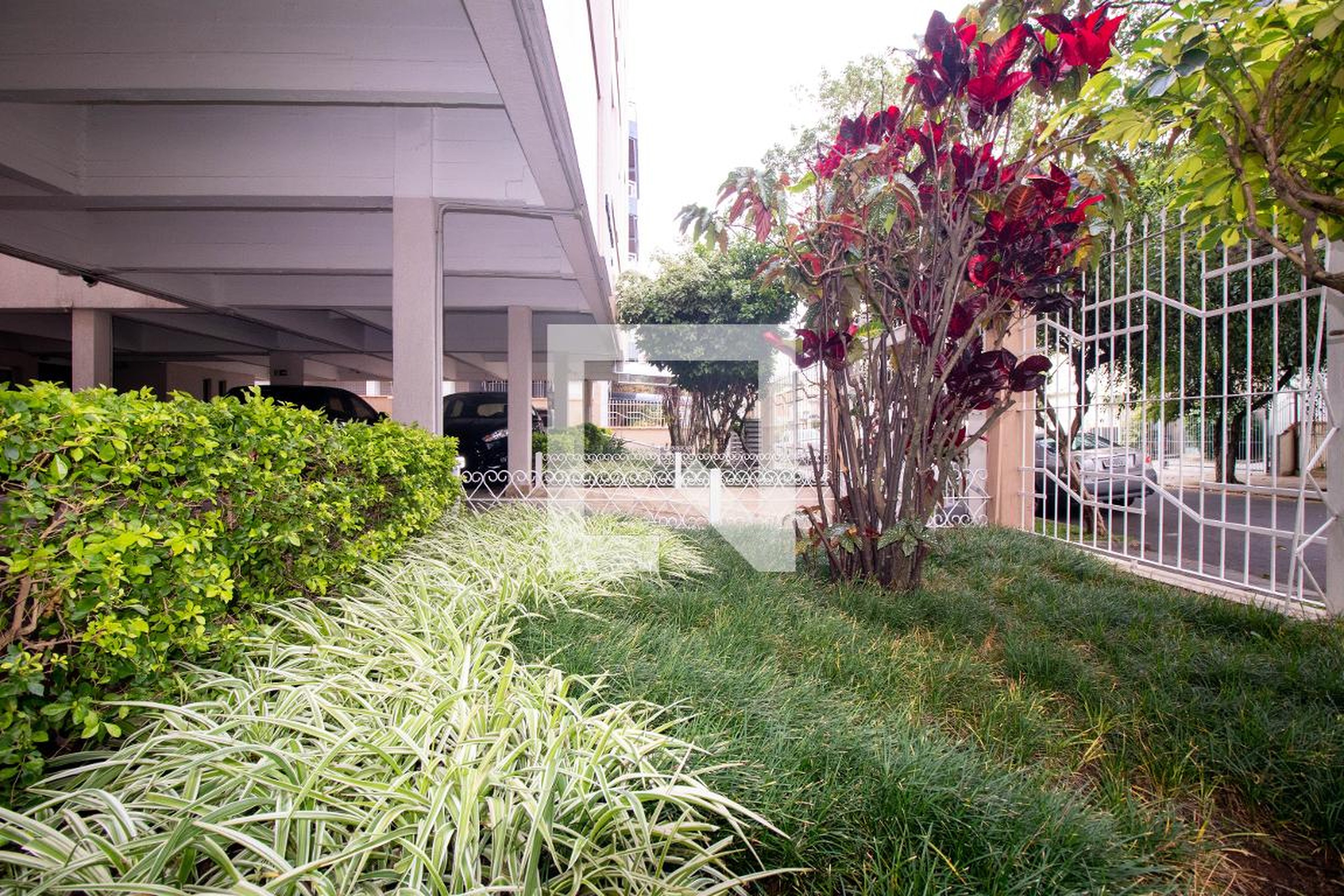 Área comum - Estrela Polux