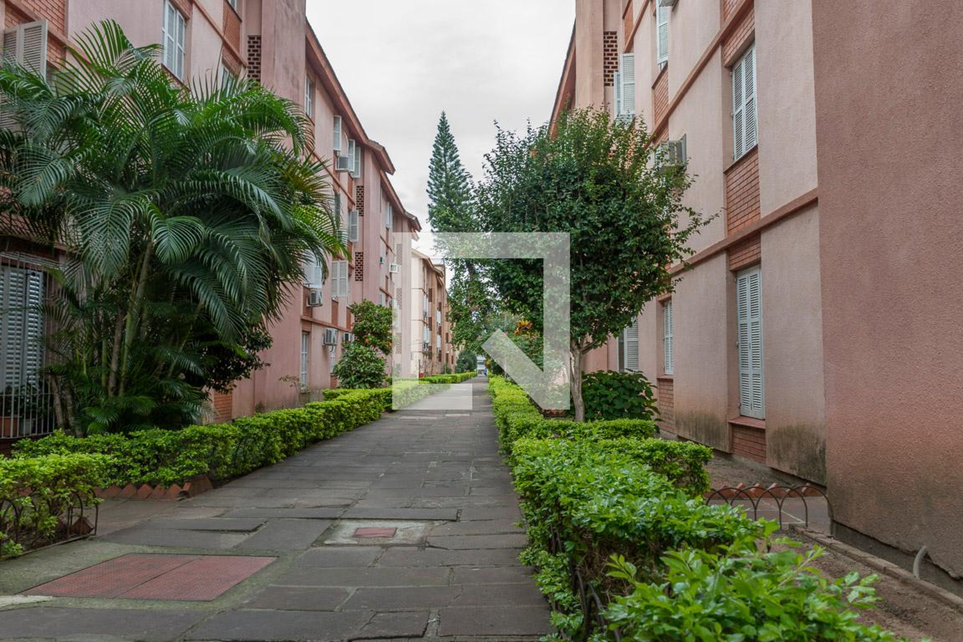 Entrada - null