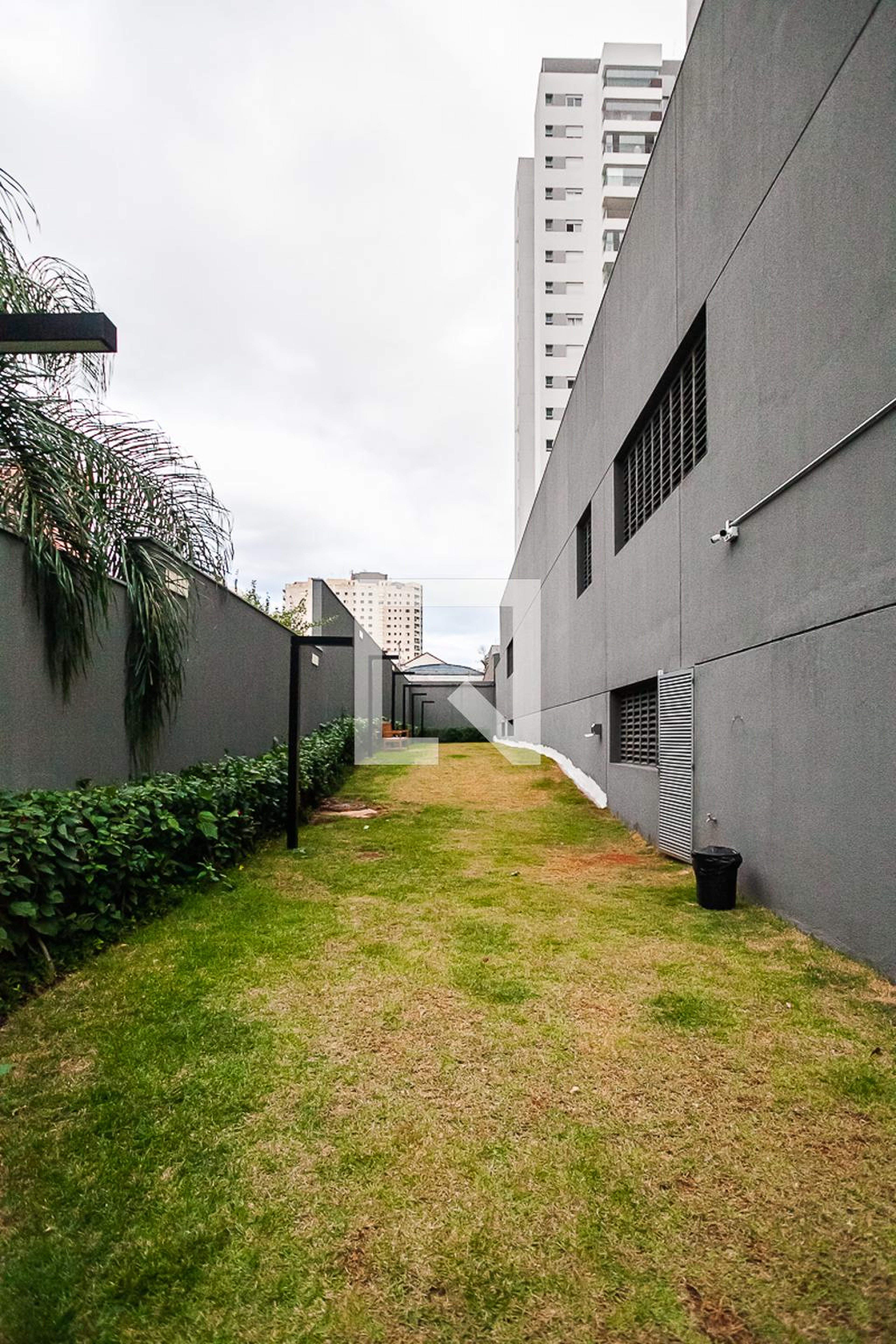 Espaço Pet - Le Monde