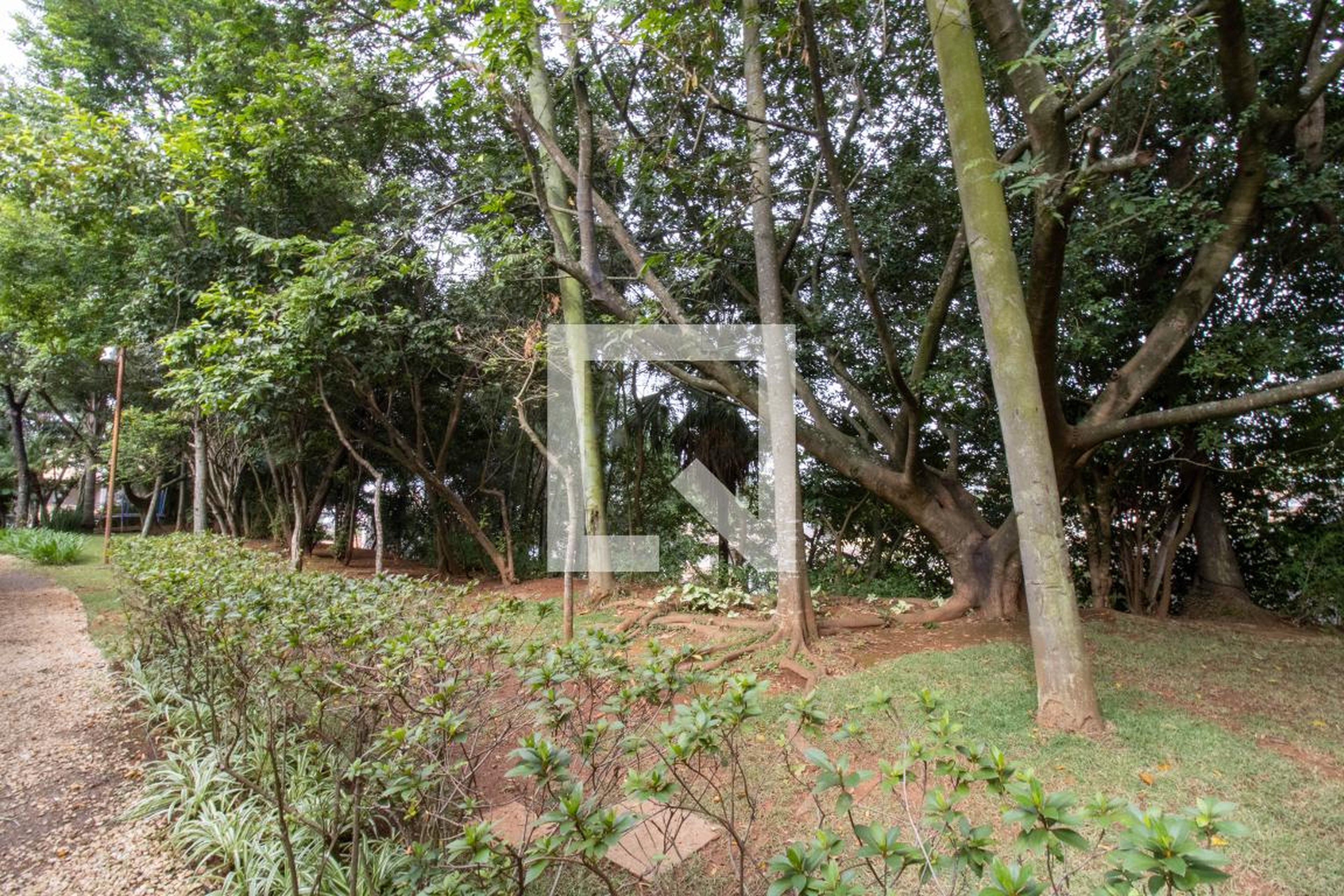 Área Comum - Sunrise