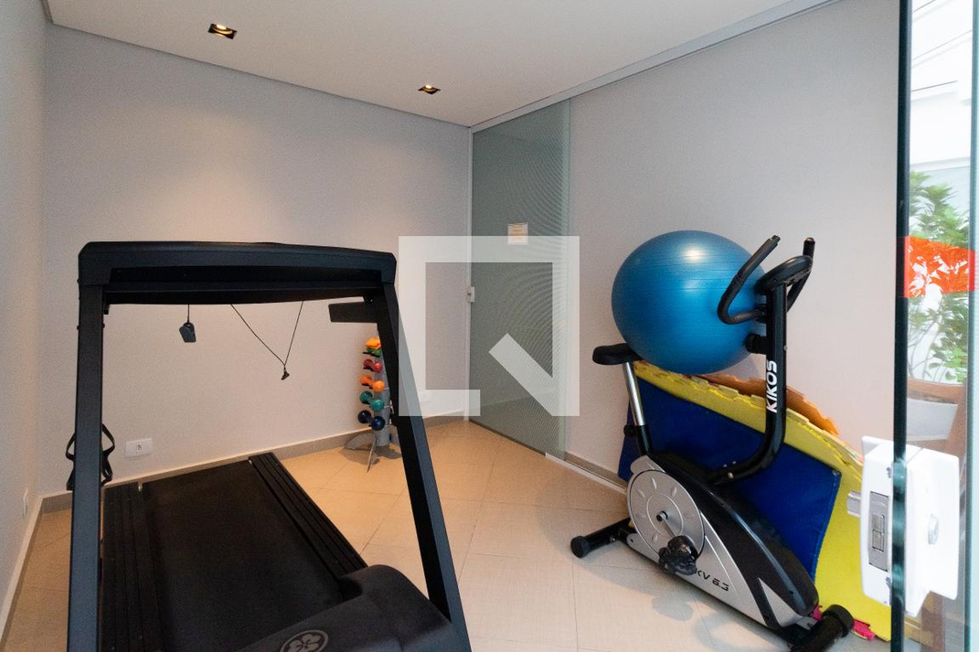 Academia - Elizabeth