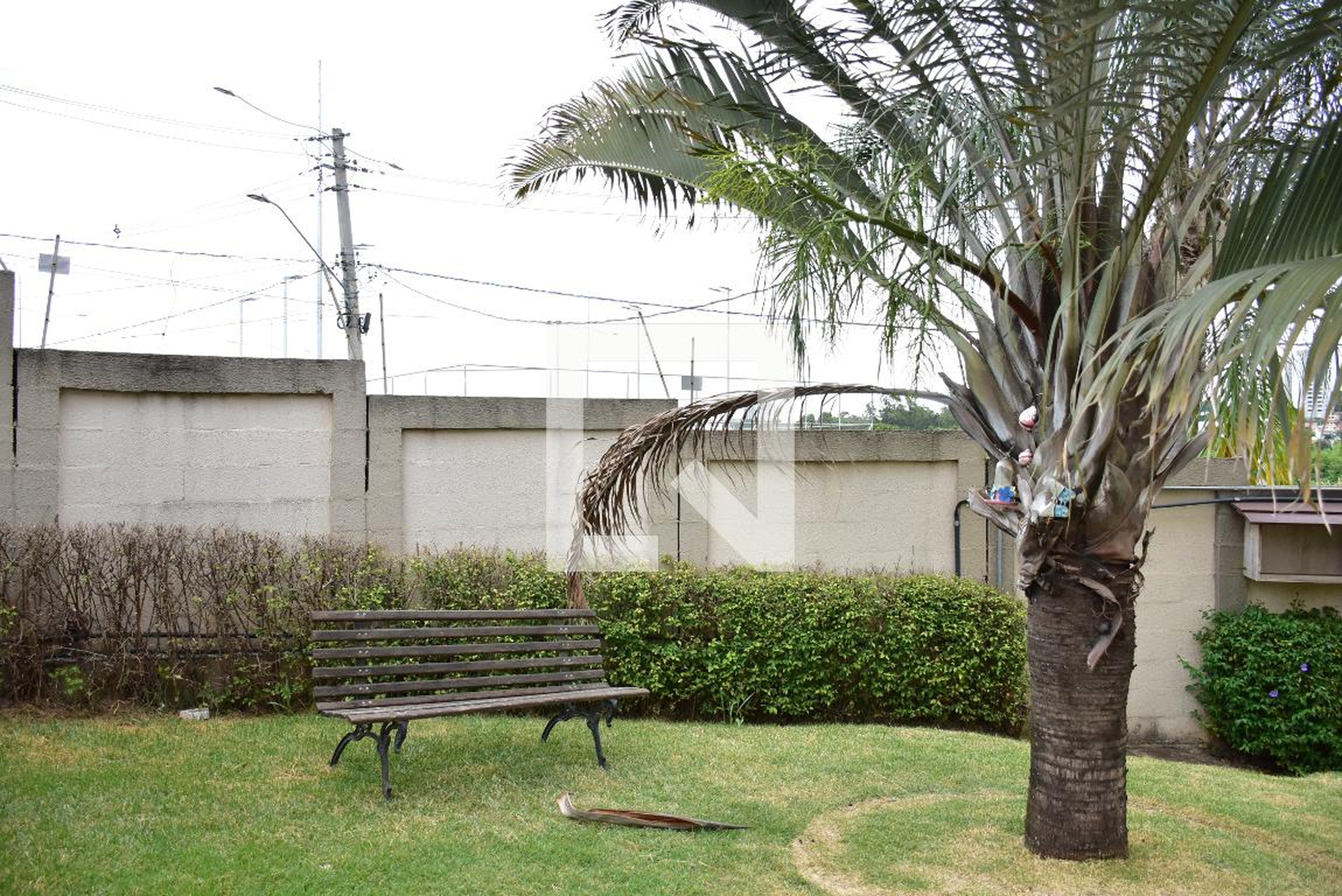 Área comum - Parque Harmonia