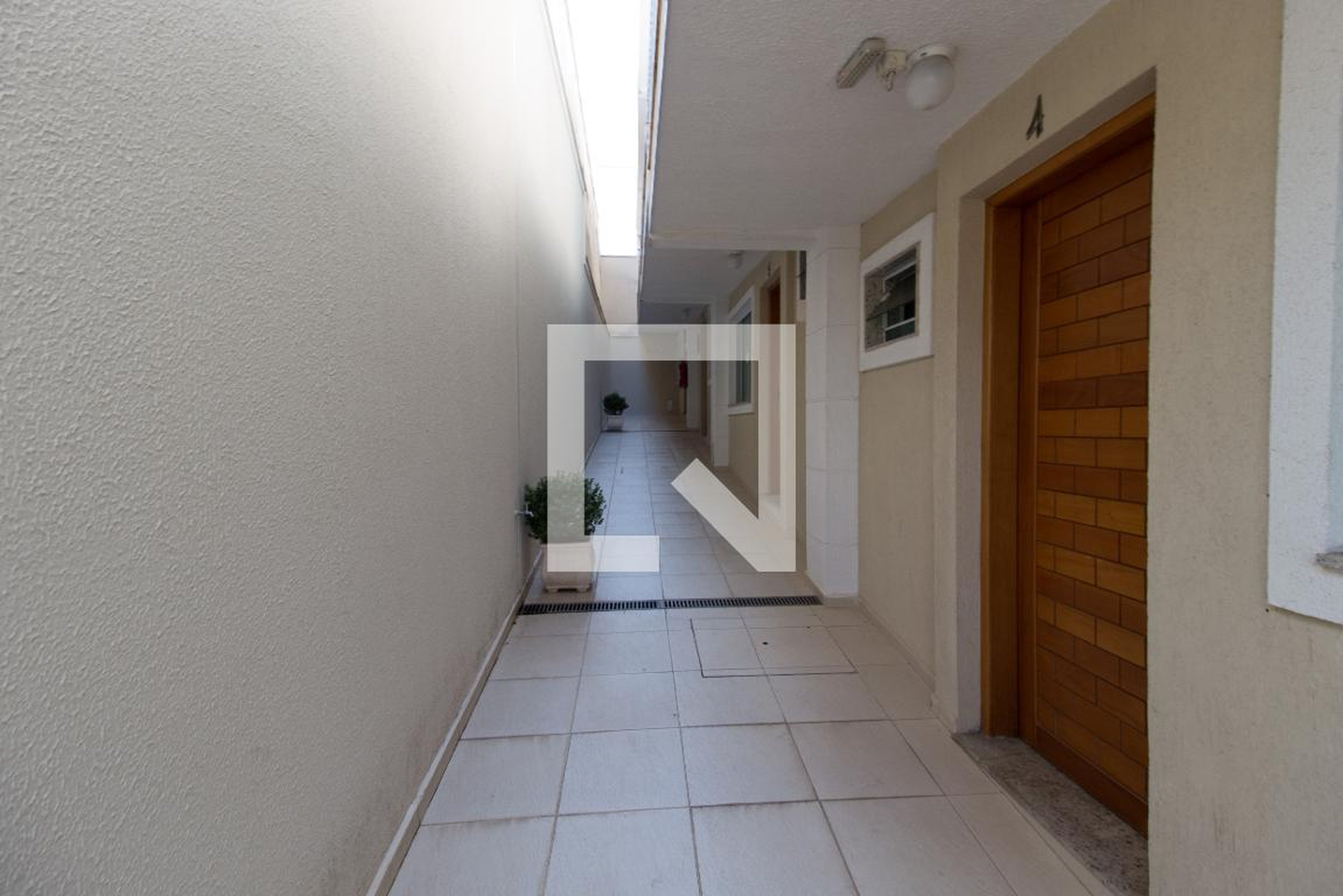 Entrada - Antonela II