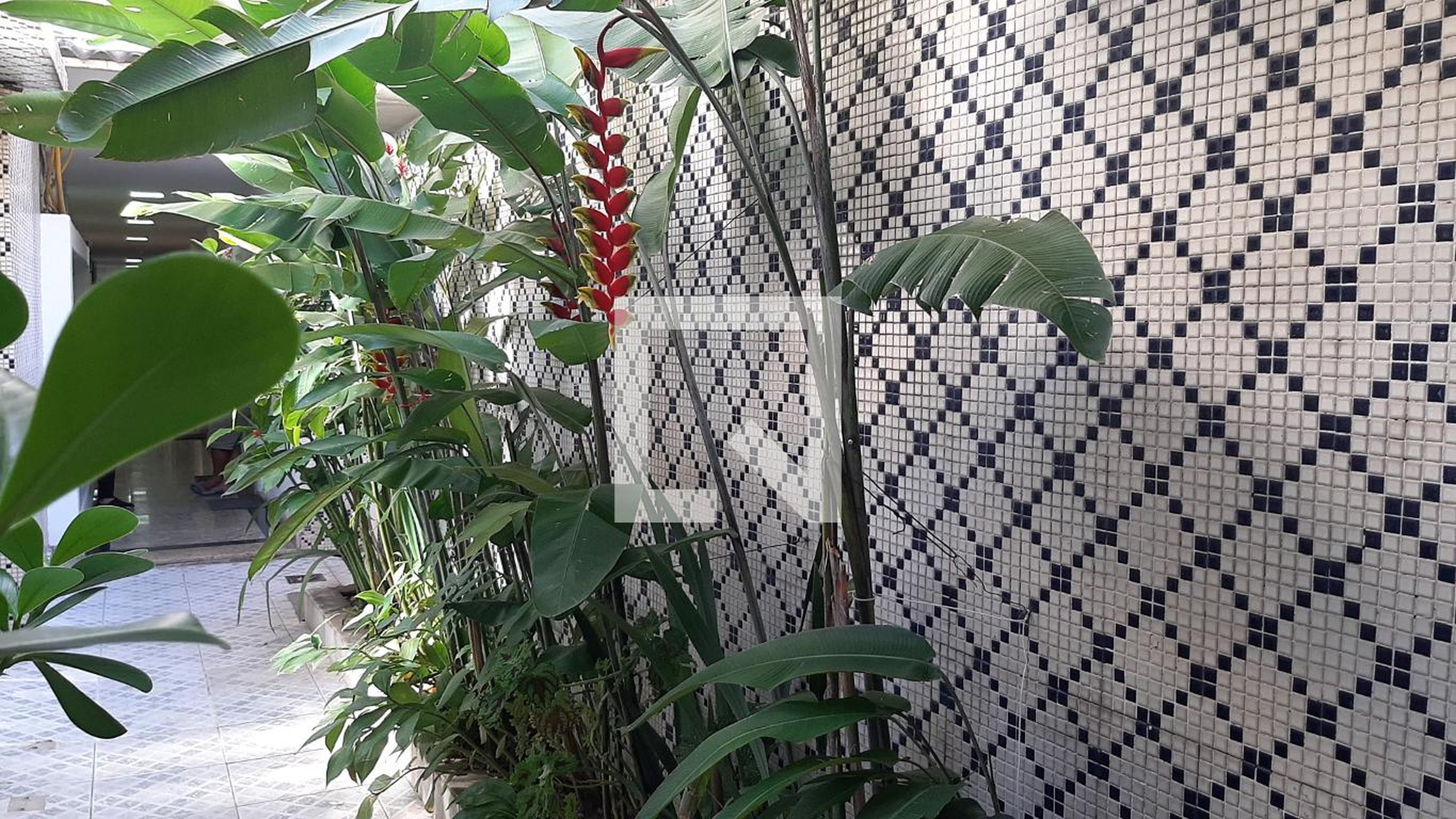 Hall de Entrada Condomínio Cesario