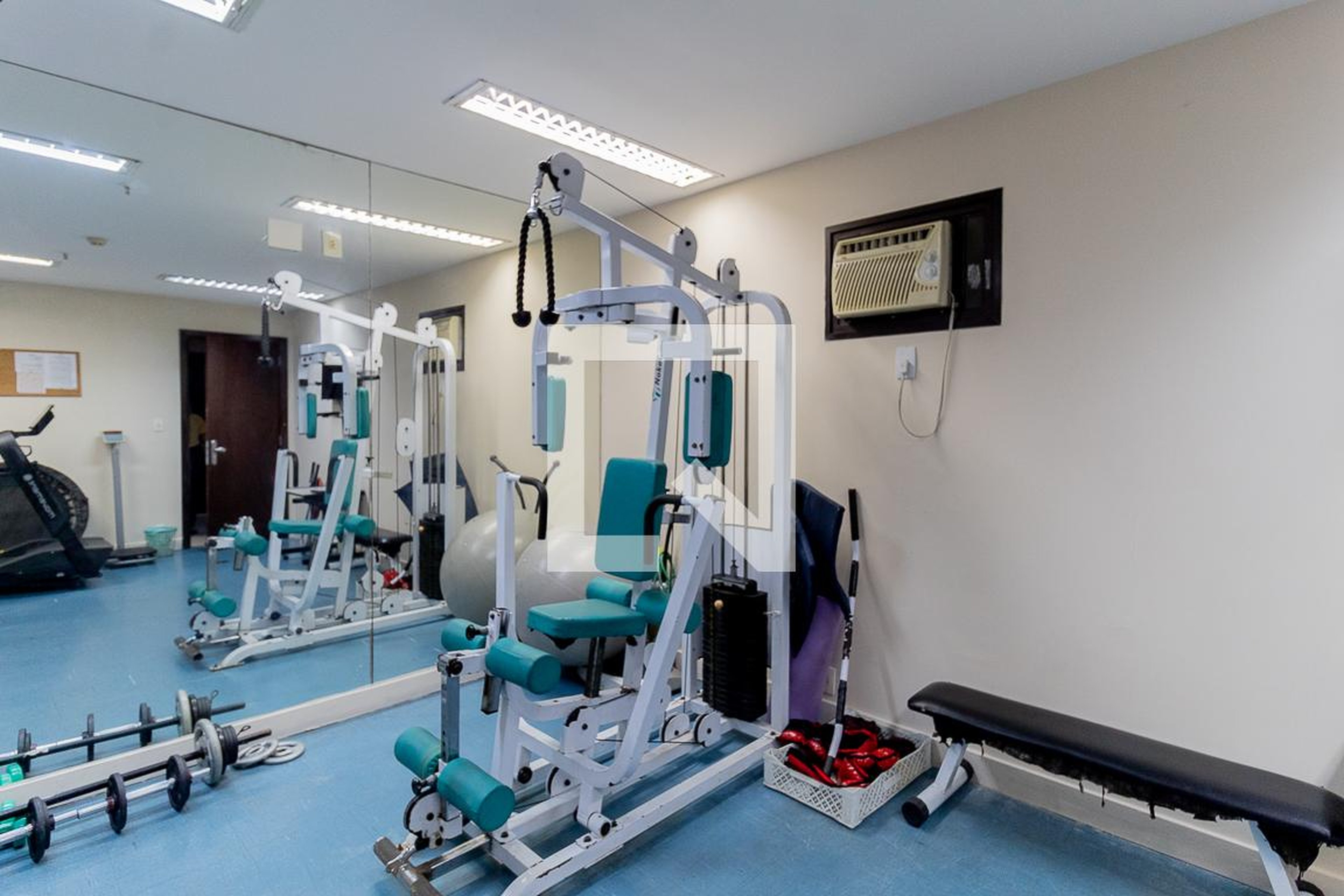 Academia - Golden Age Intelligent Flat