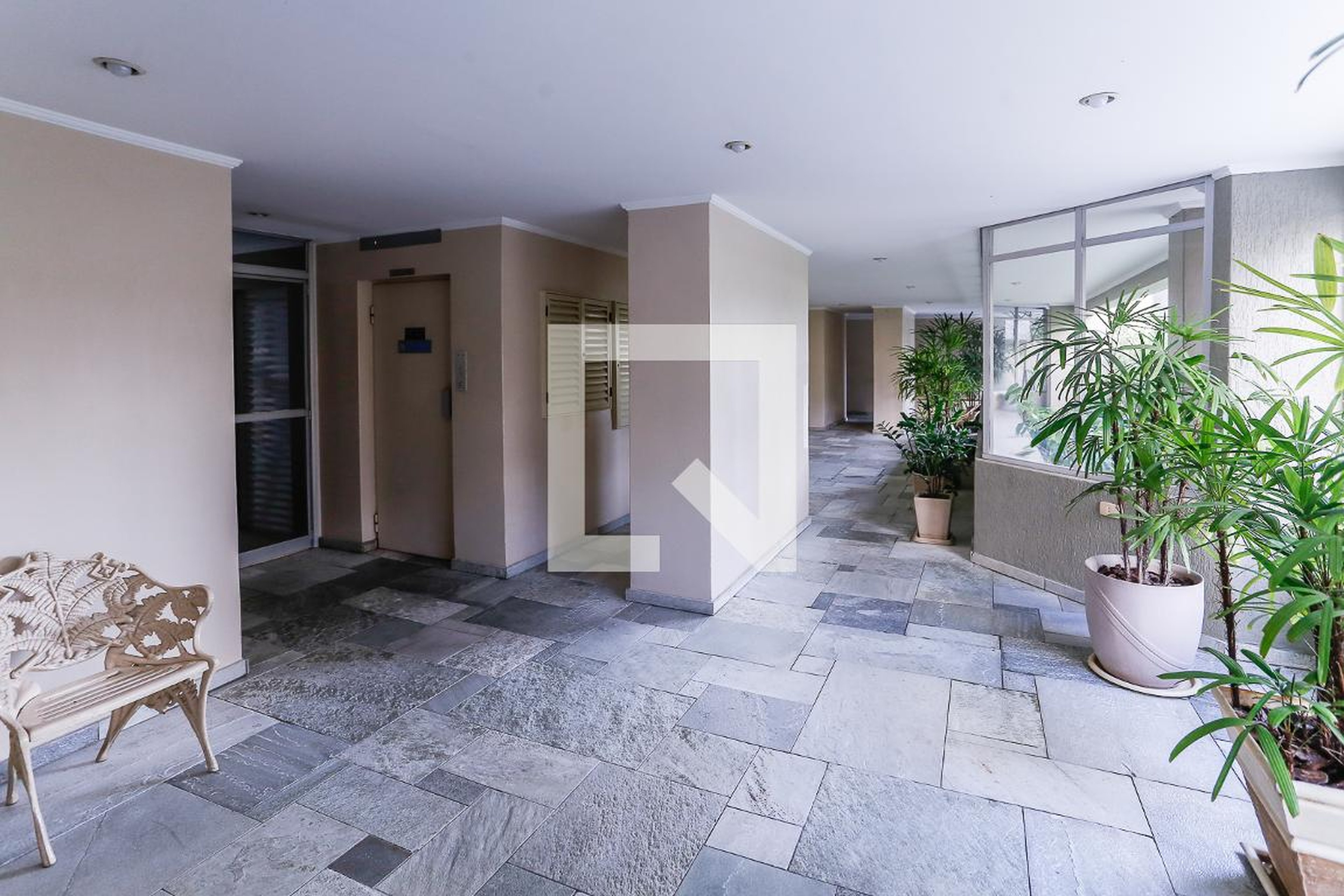 Hall Social - Stella