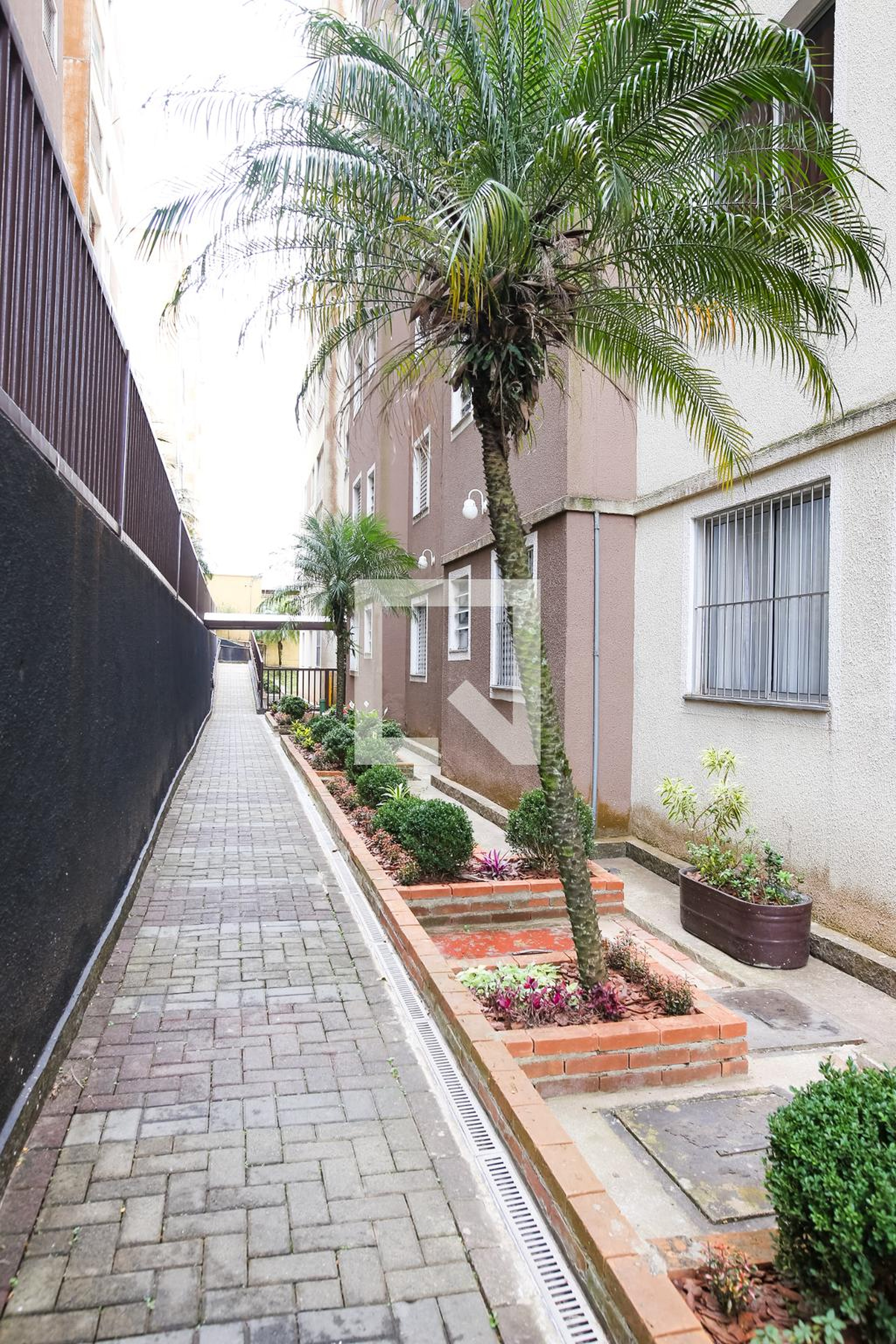 Area Comum - Reserva da Cantareira