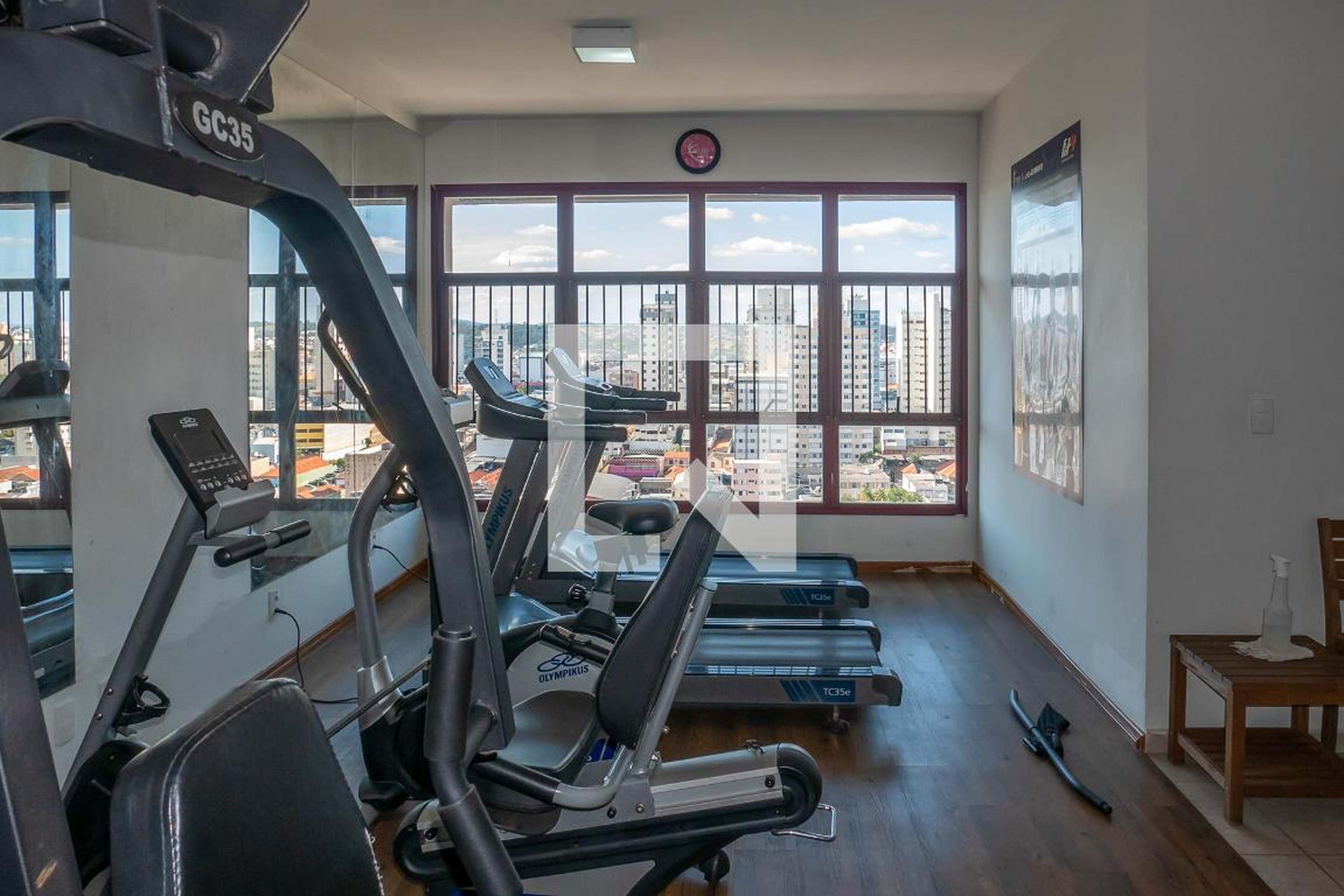 Academia - THE GRAPES