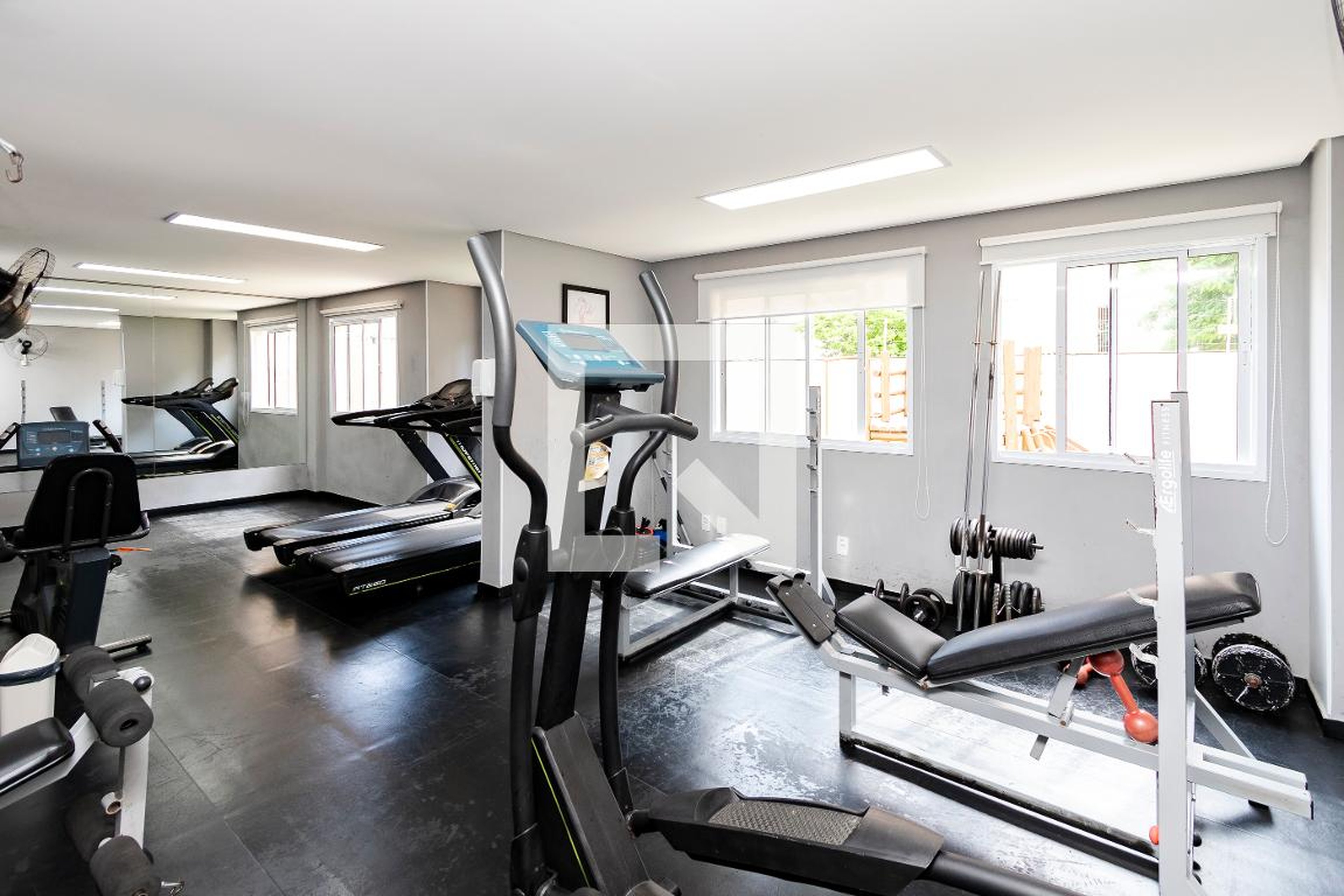 Academia - Casa Blanca