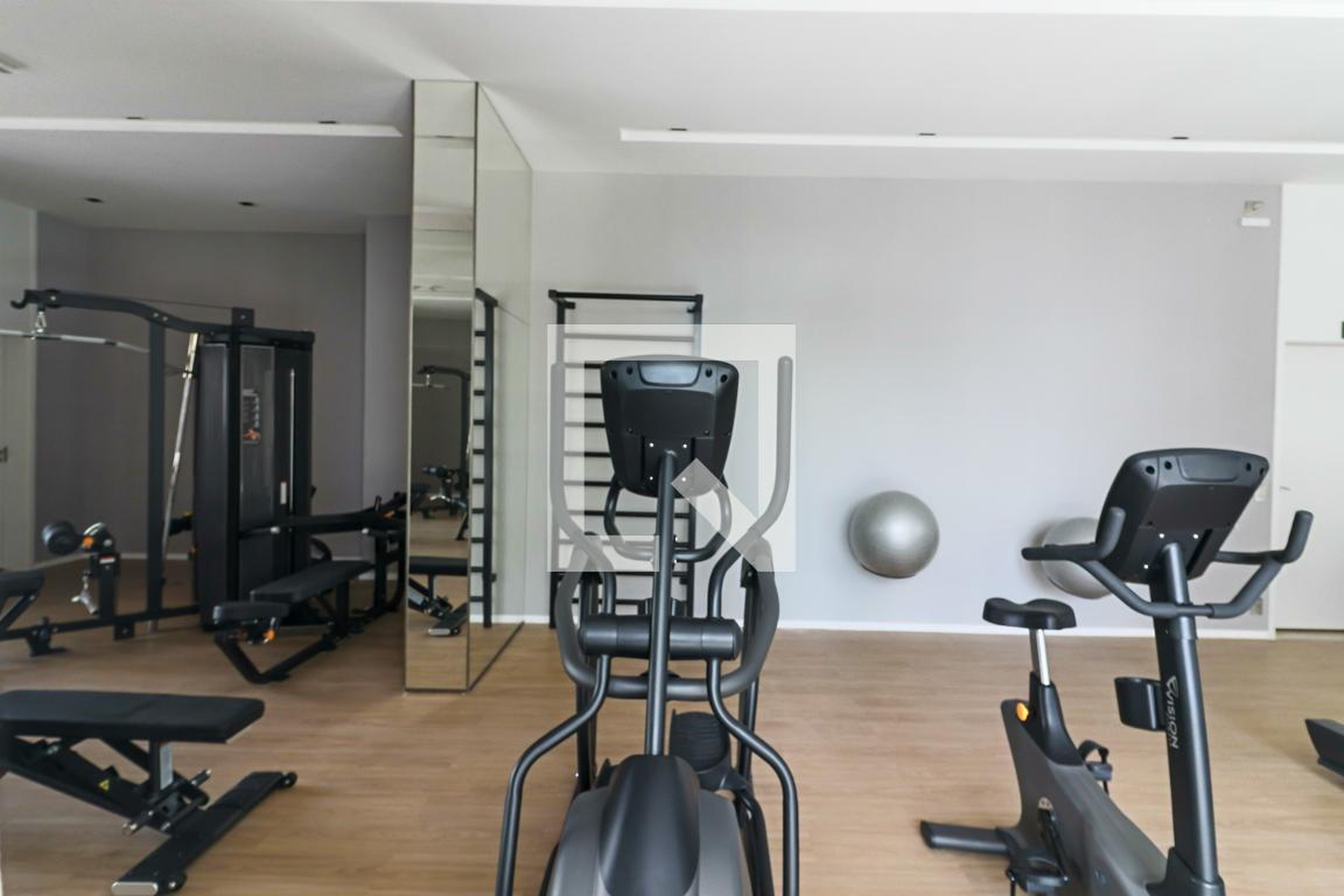 Academia - Skyline Jockey