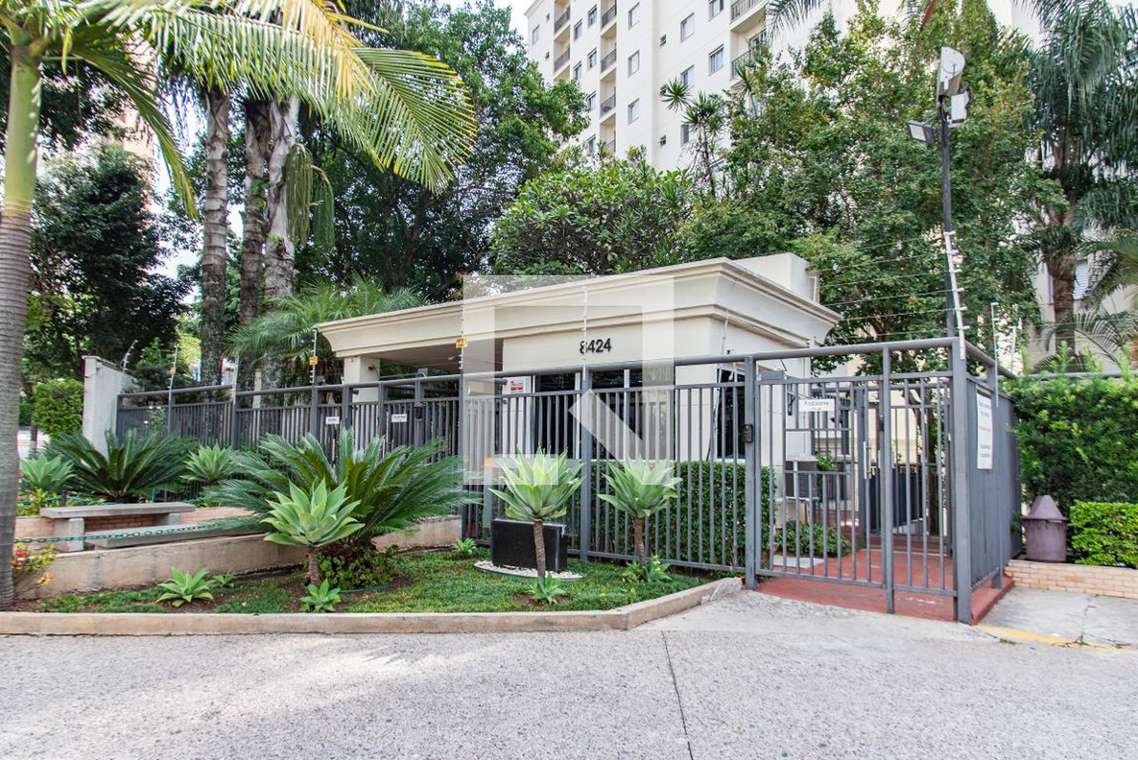 Entrada - 