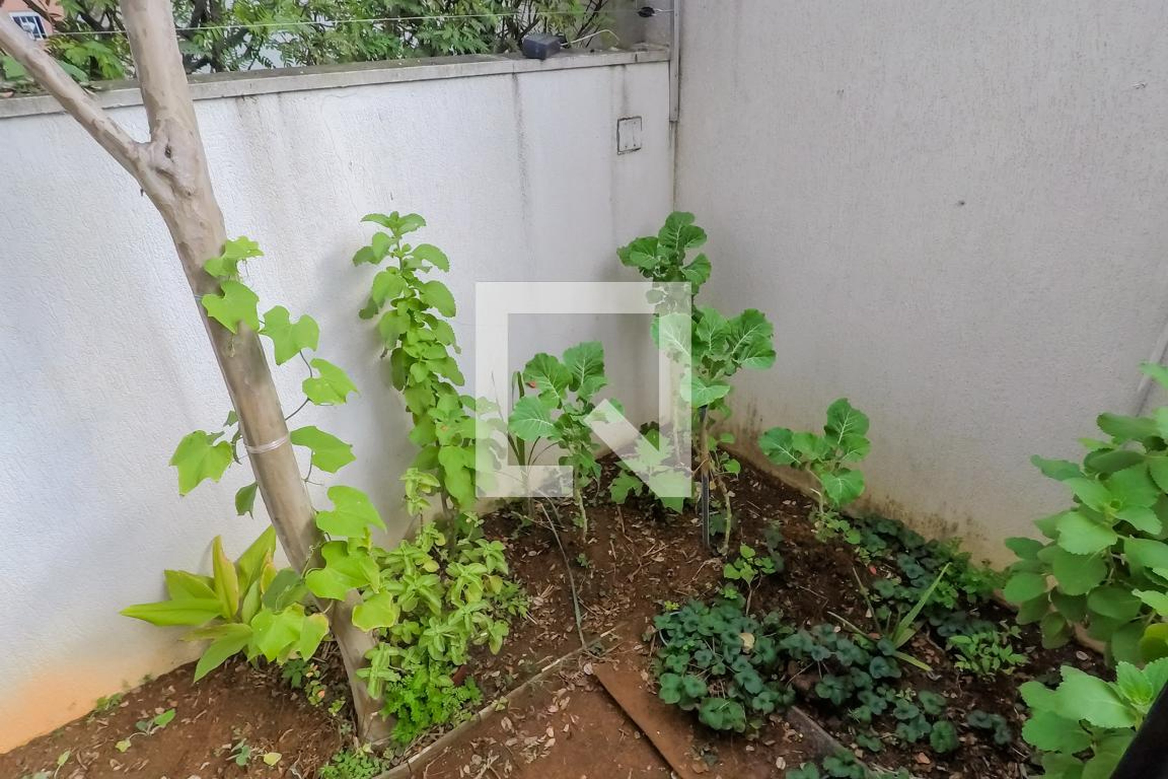 Área Externa - Pacific Beach