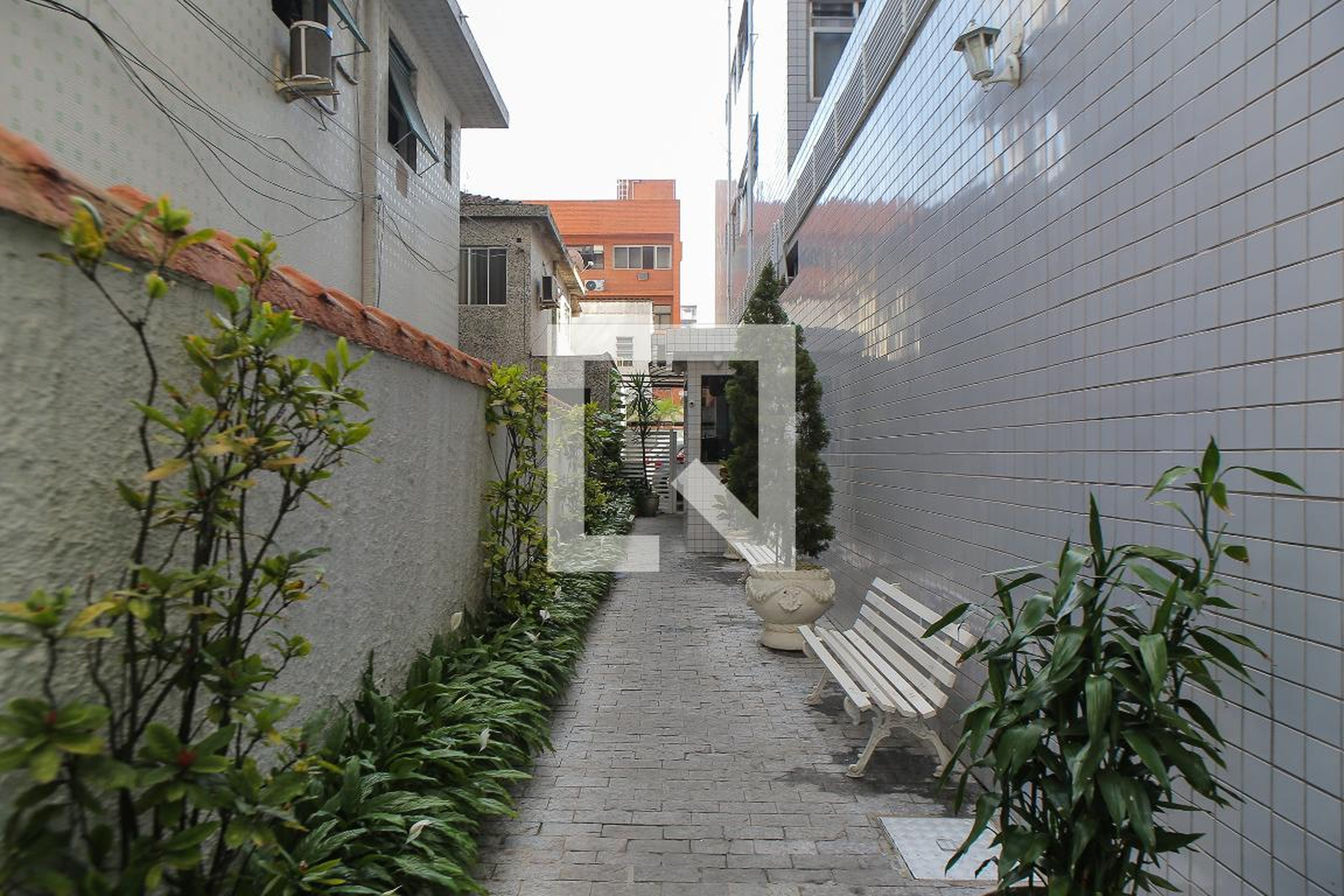 Entrada - Silvia Cid