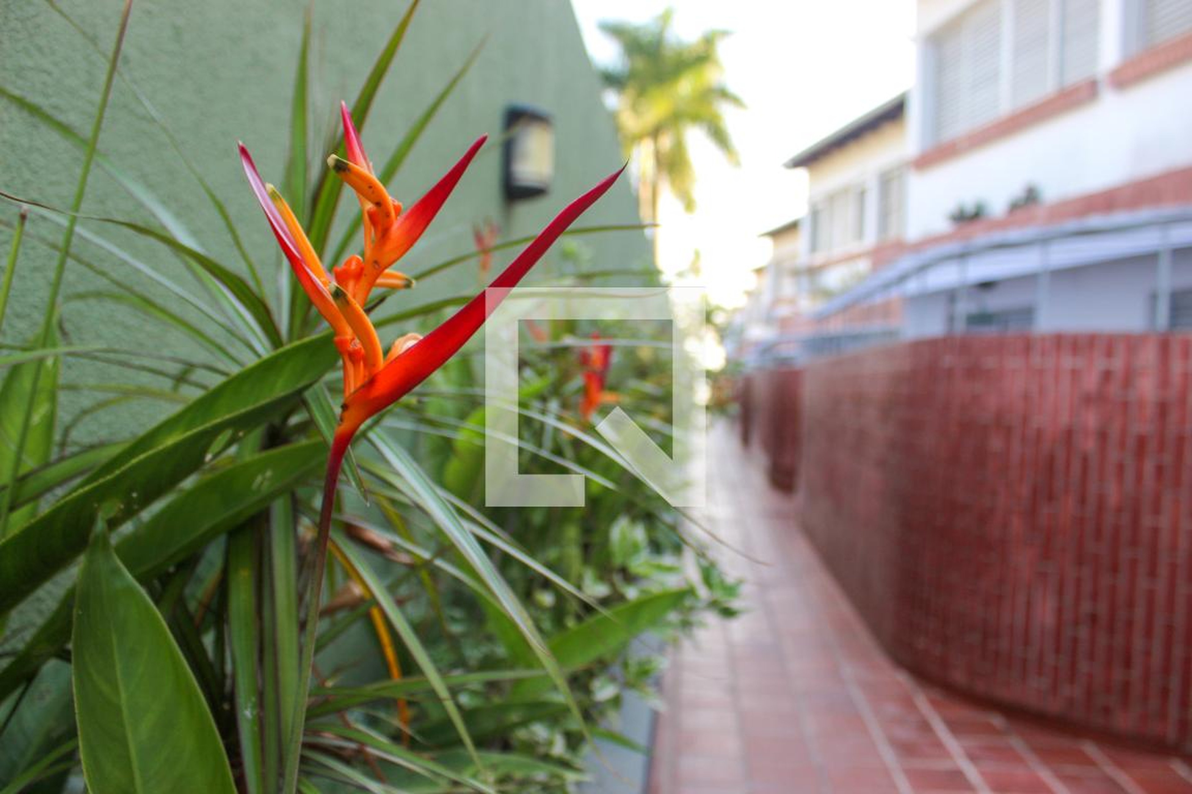 Área Externa - Recanto da Enseada