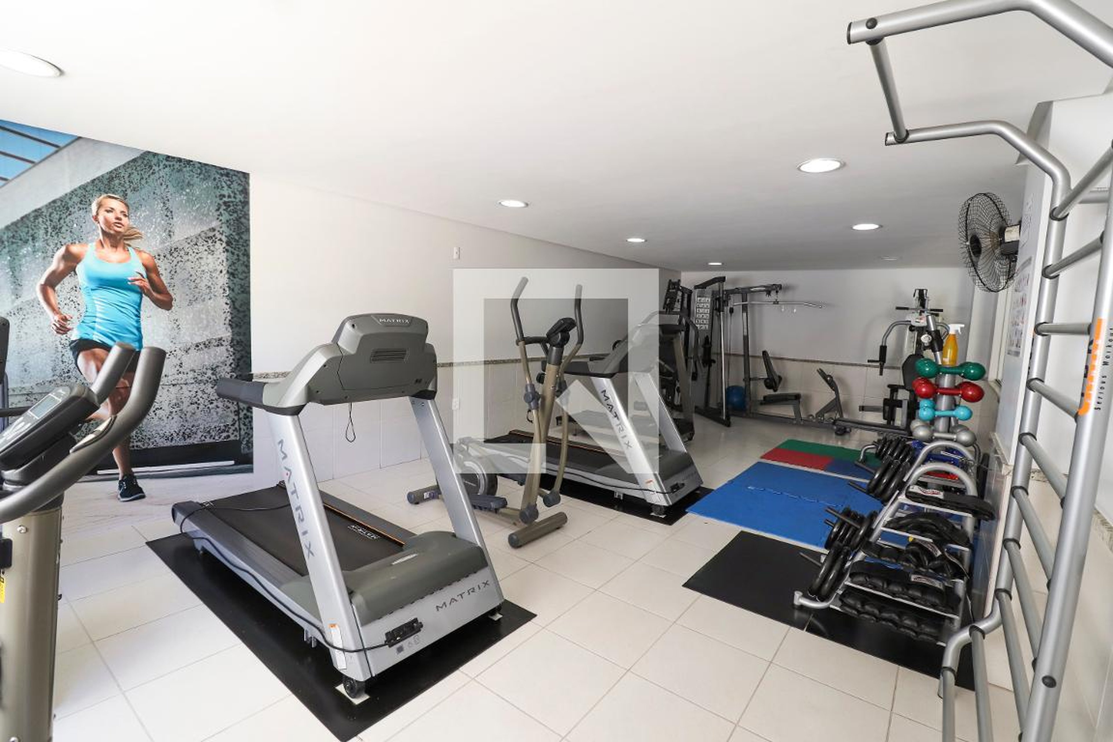 Academia - Portal dos Ipes