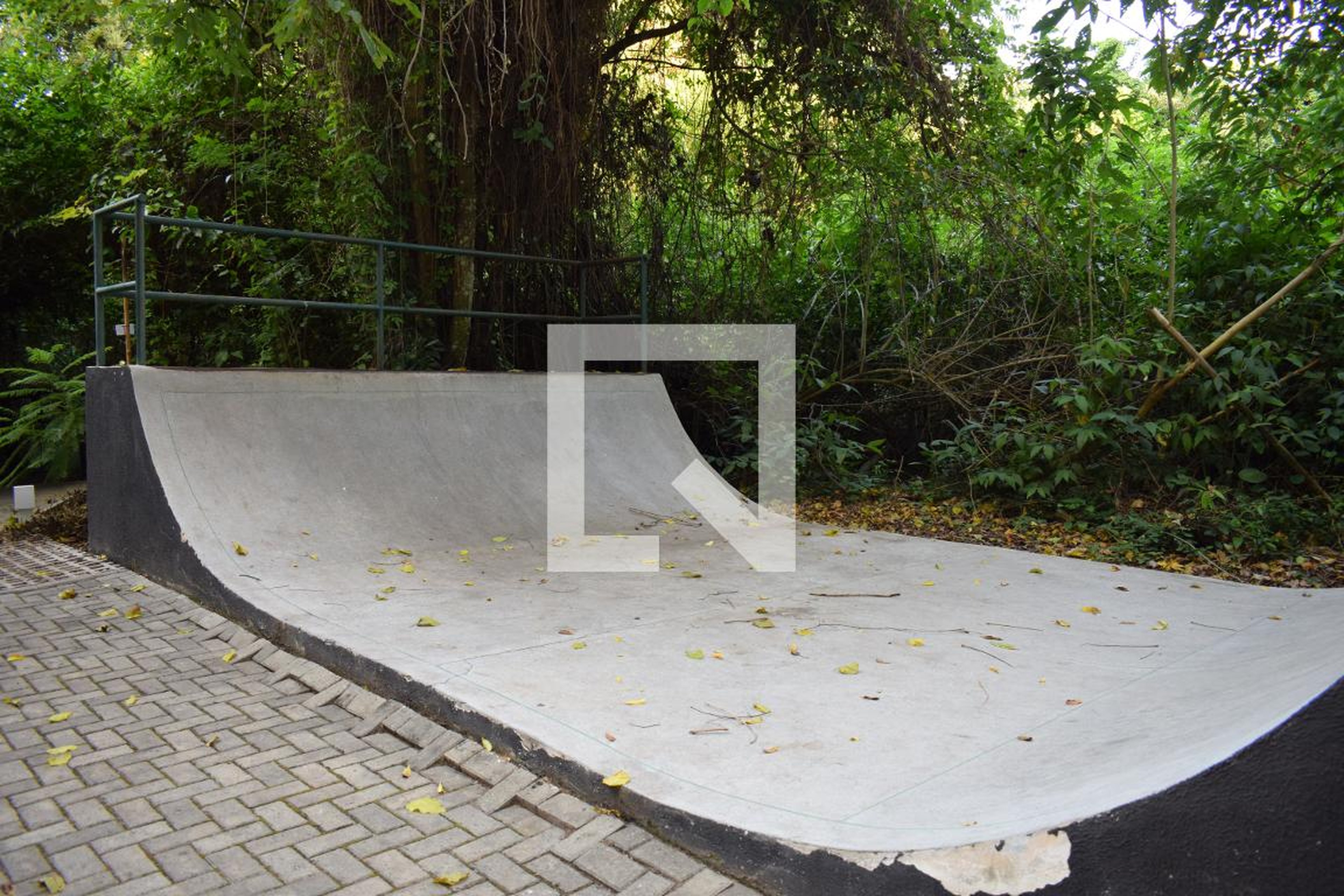 Pista de Skate - Forest