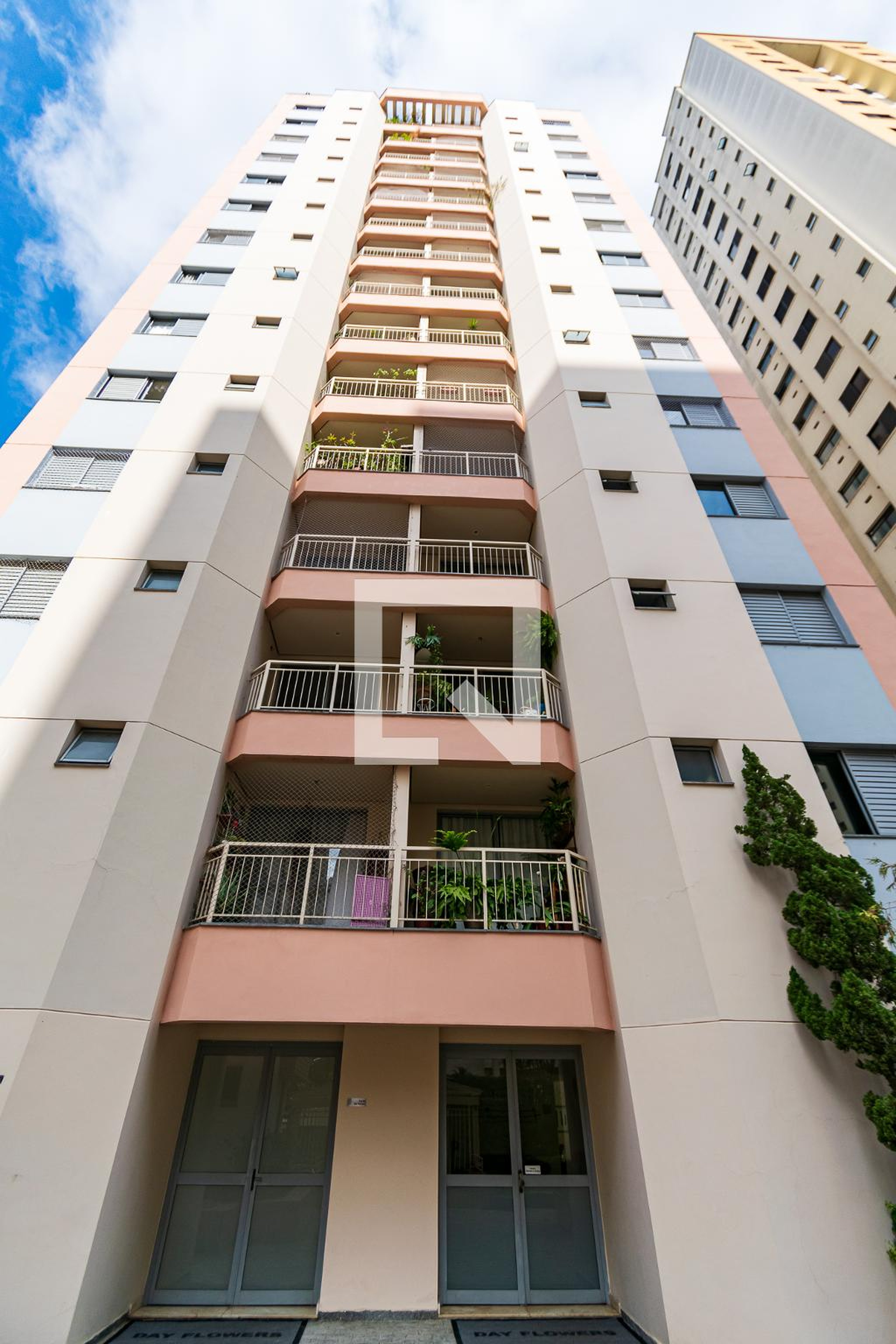 Entrada - Day Flores