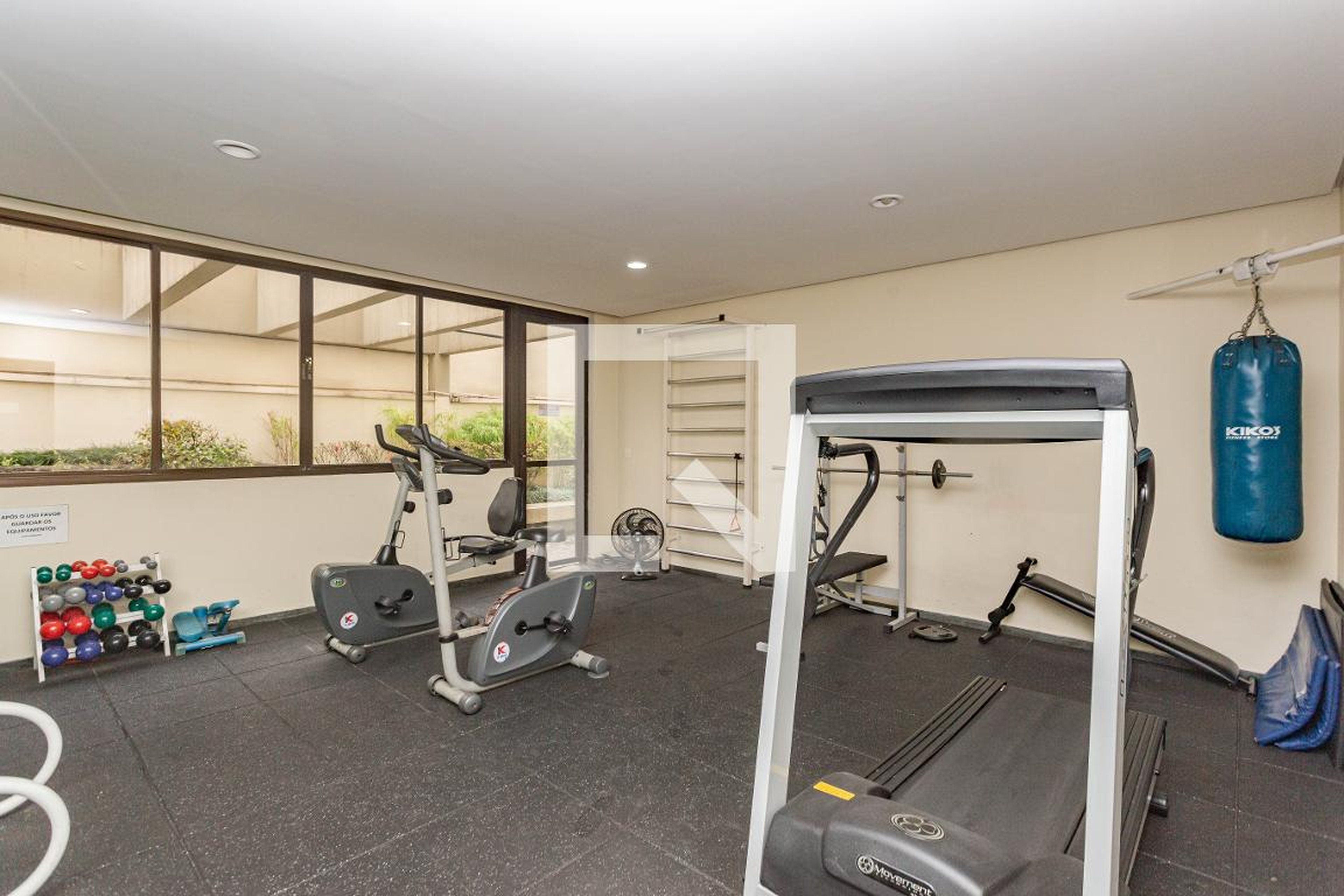 Academia - Stella Albae