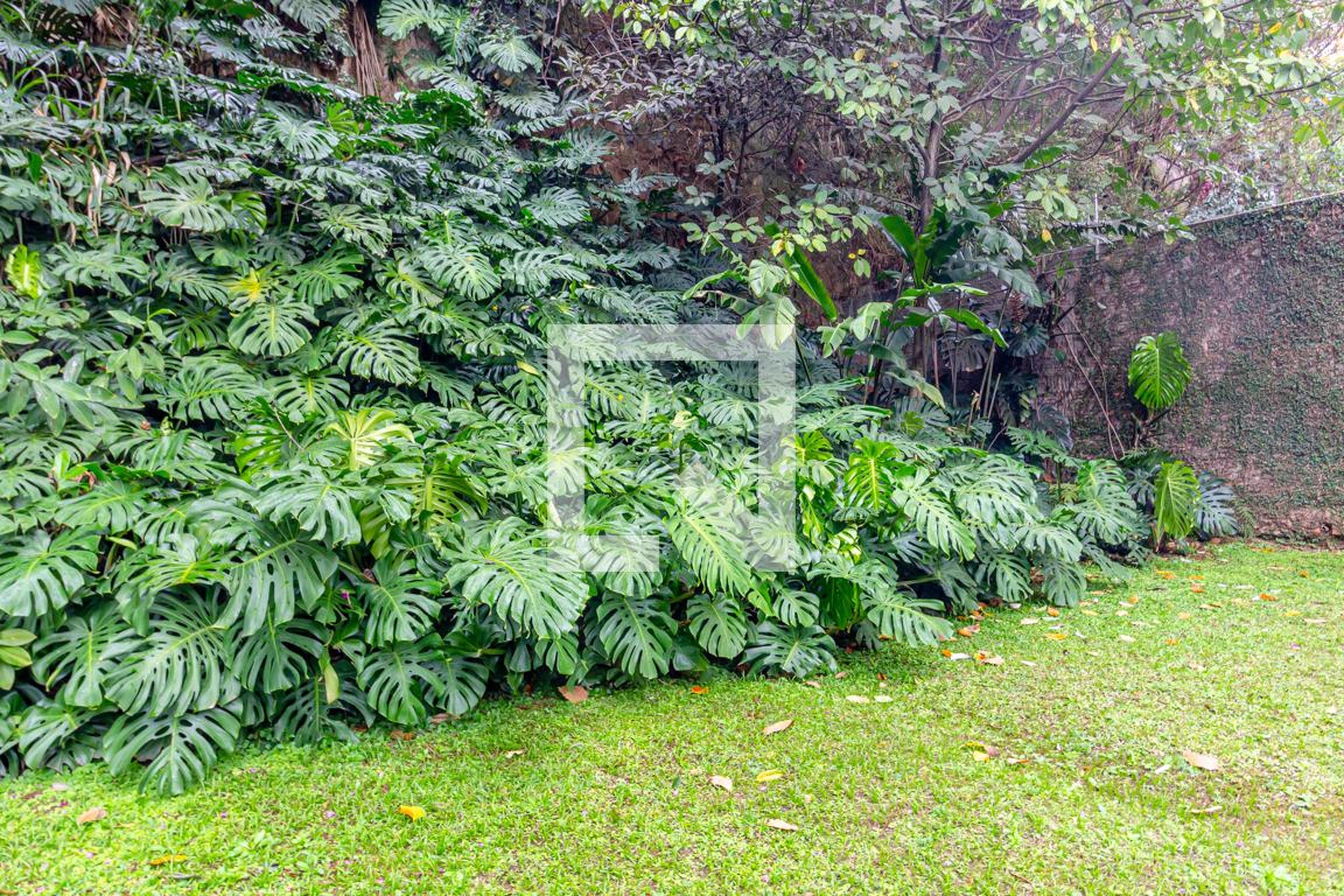 Área comum - Chopin