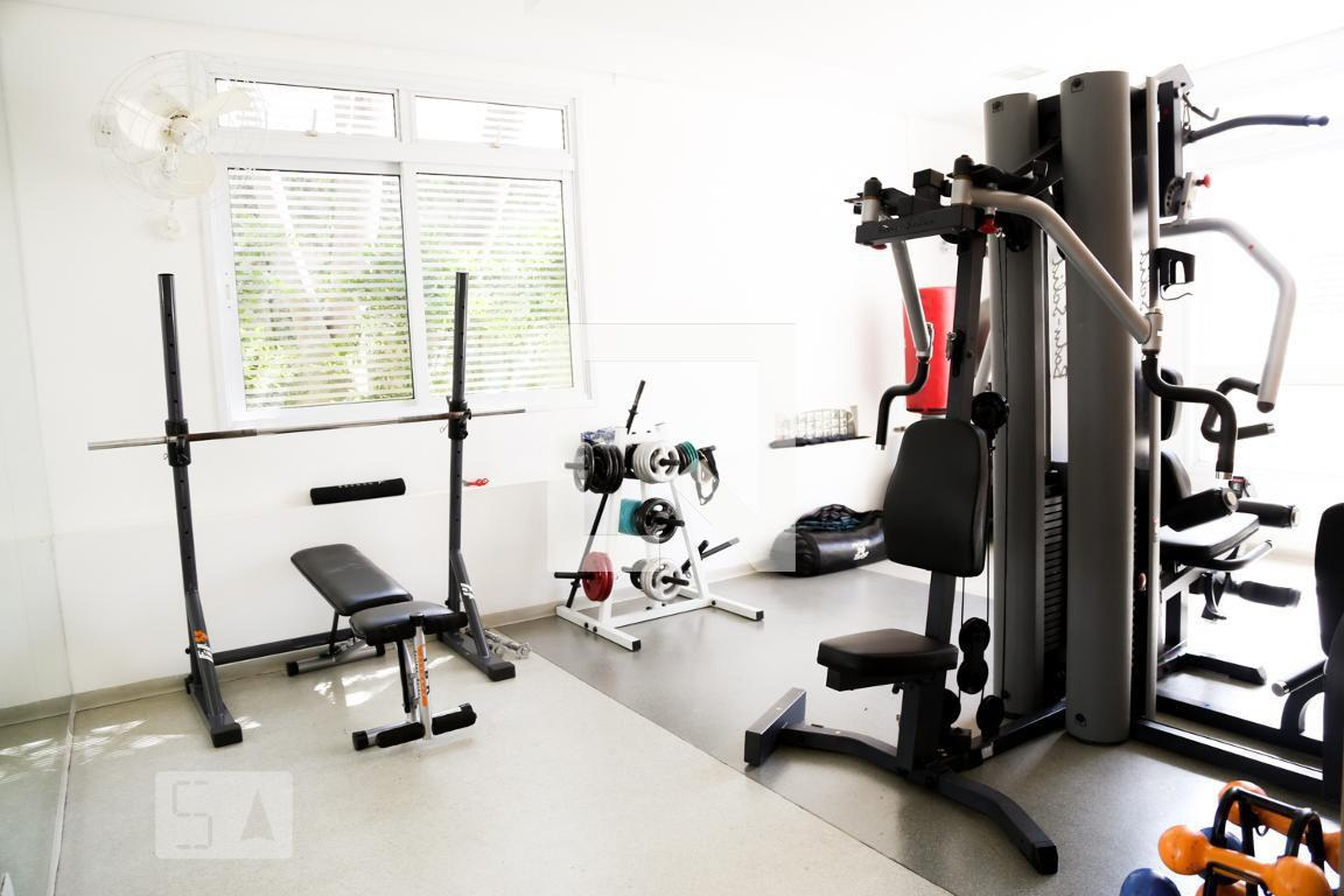 Academia - Originale