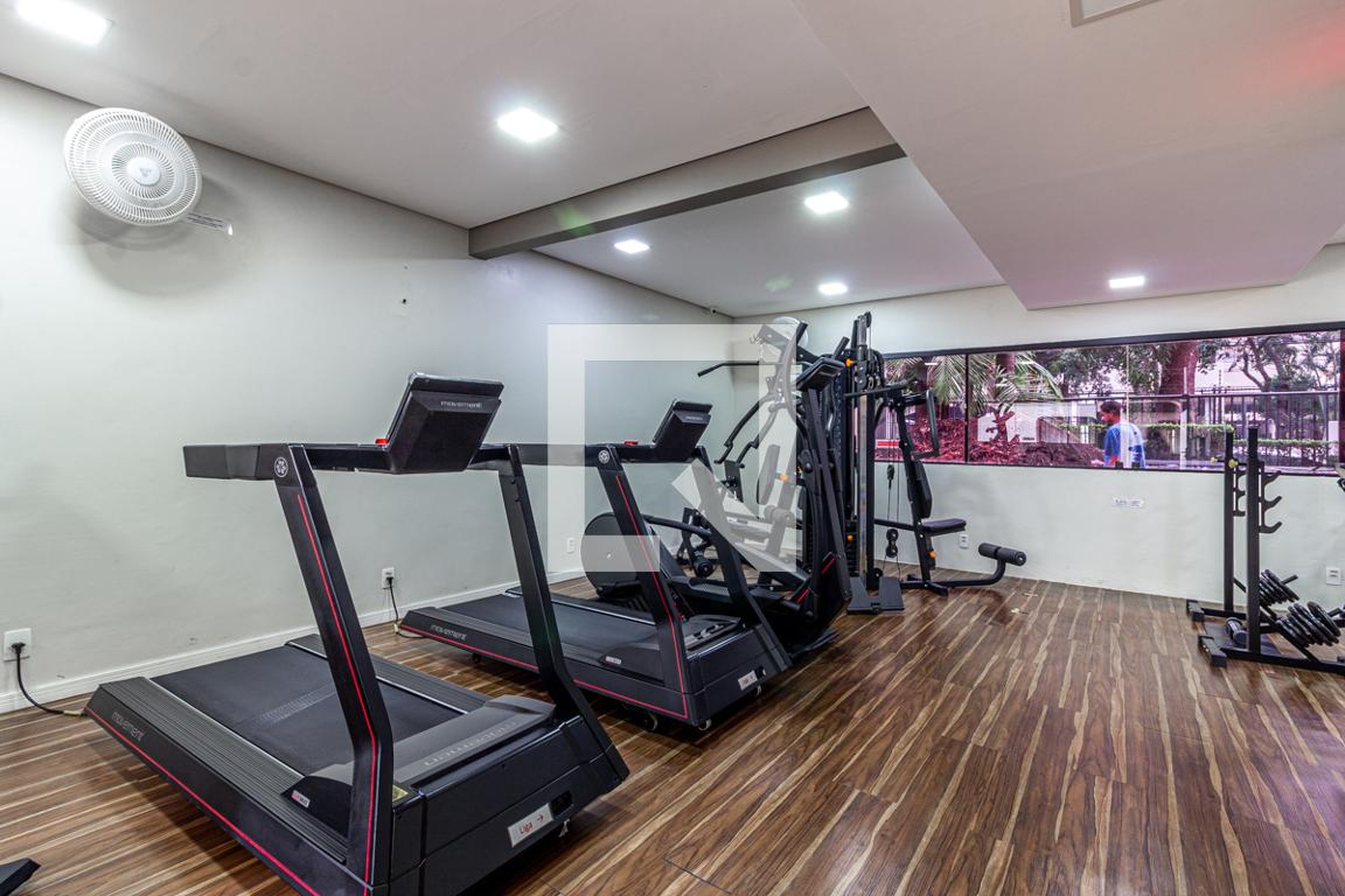 Academia - Villa Borghese