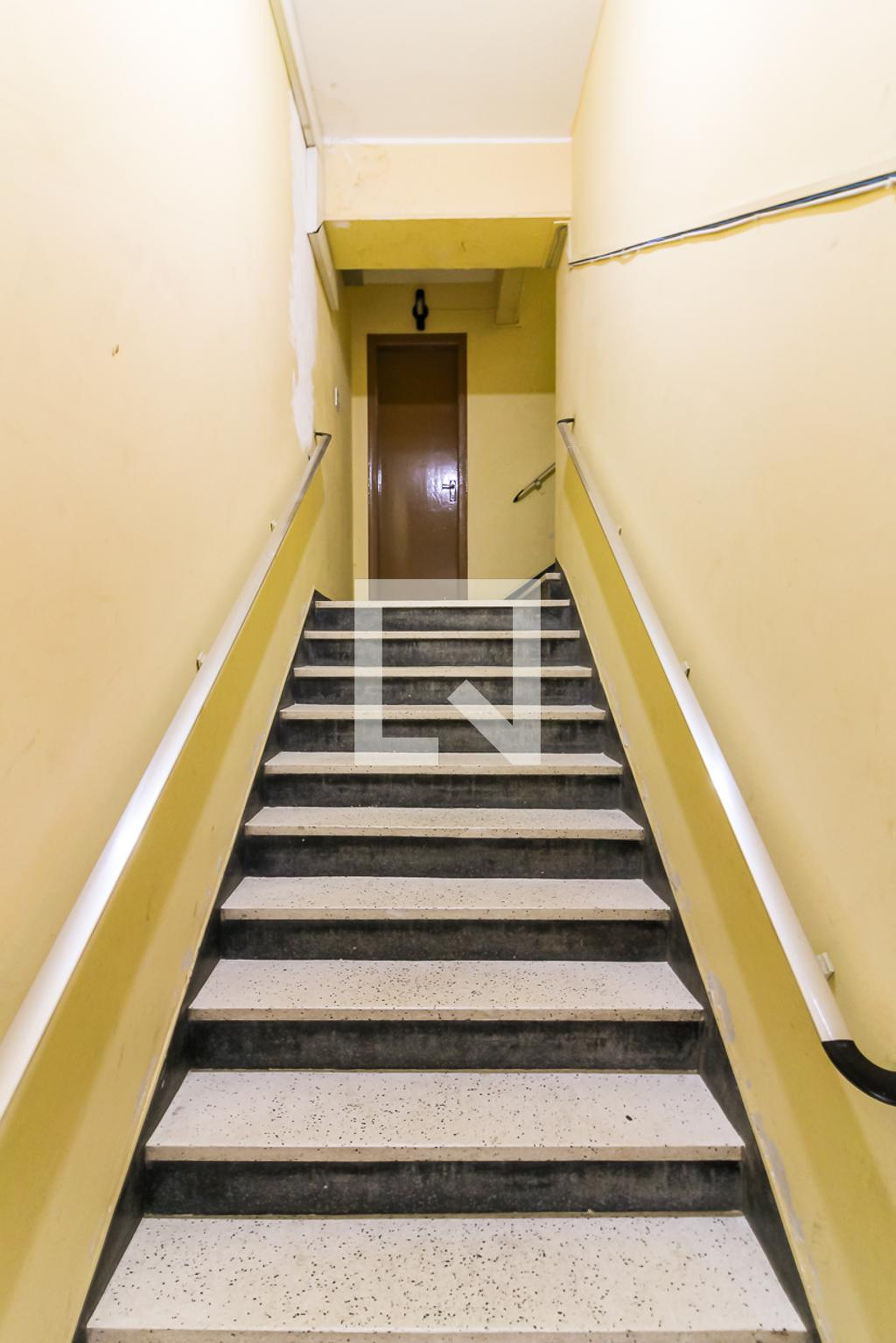 Entrada Social - Elizabeth