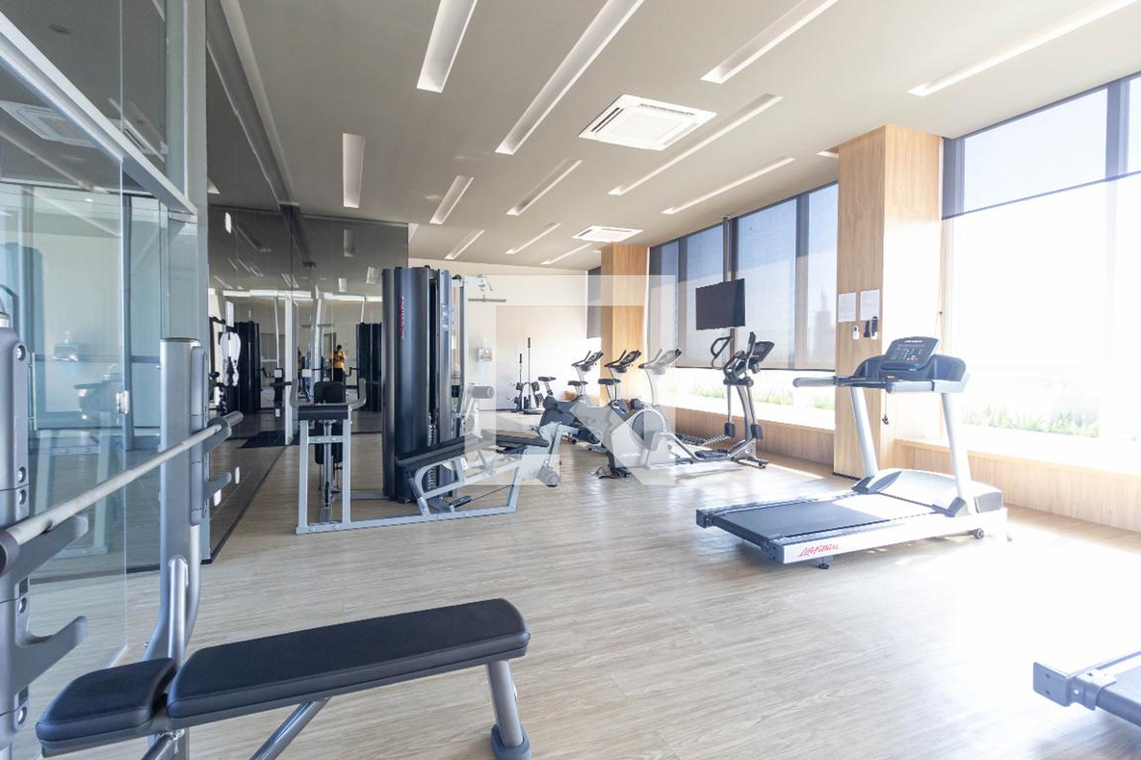 Academia - River One