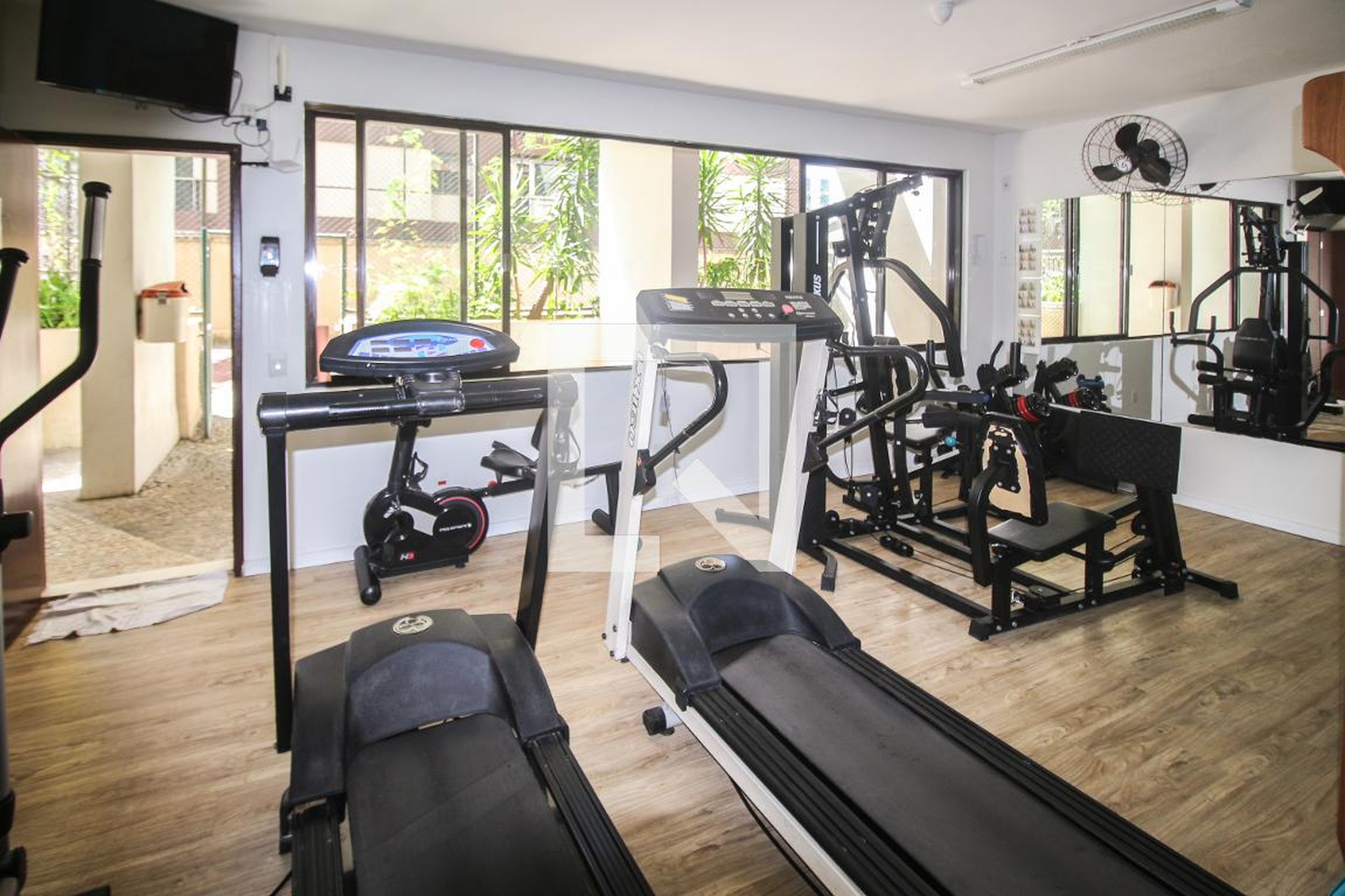 Academia - Giovani Bauducci