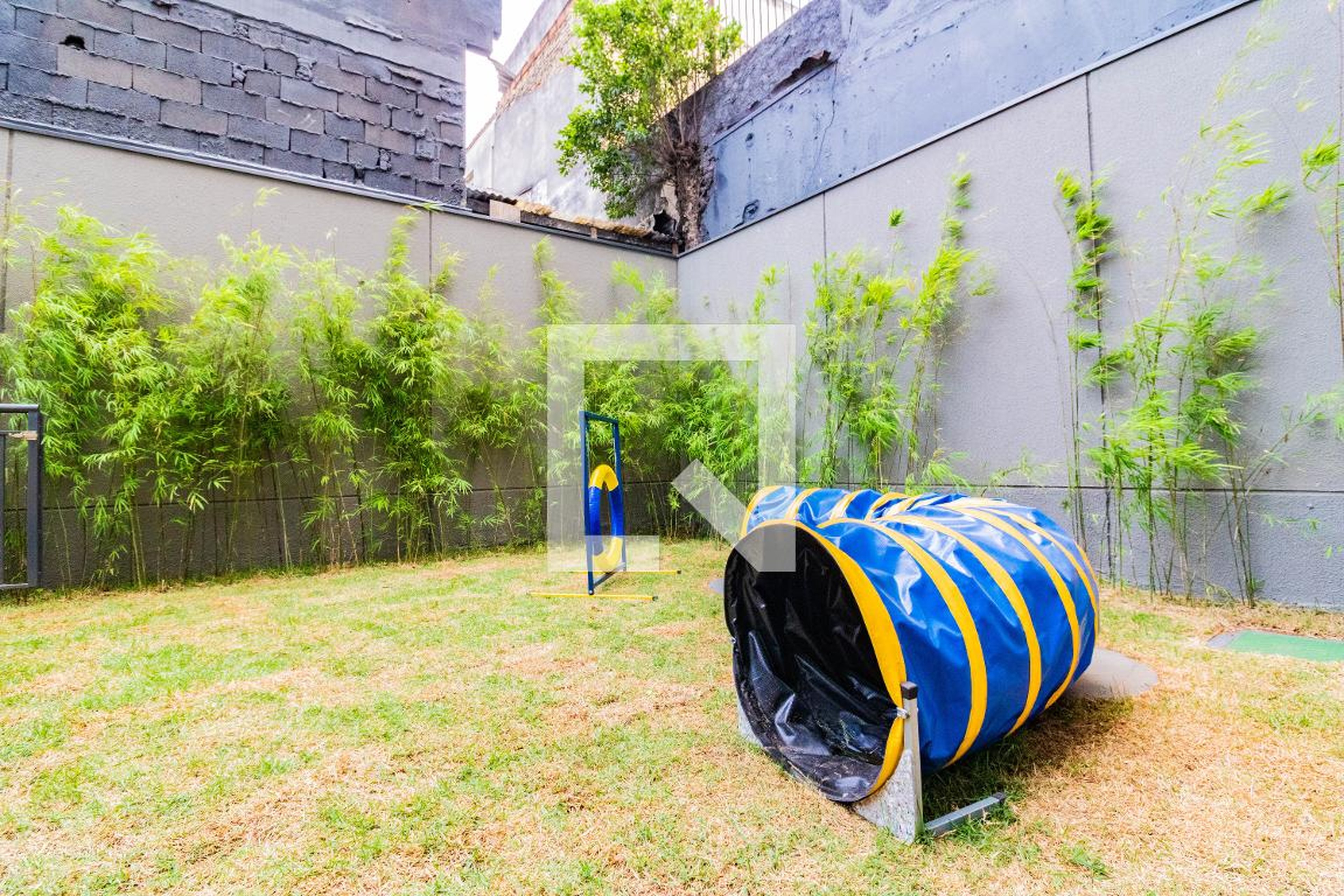 Espaço pet - Free Pça da Árvore