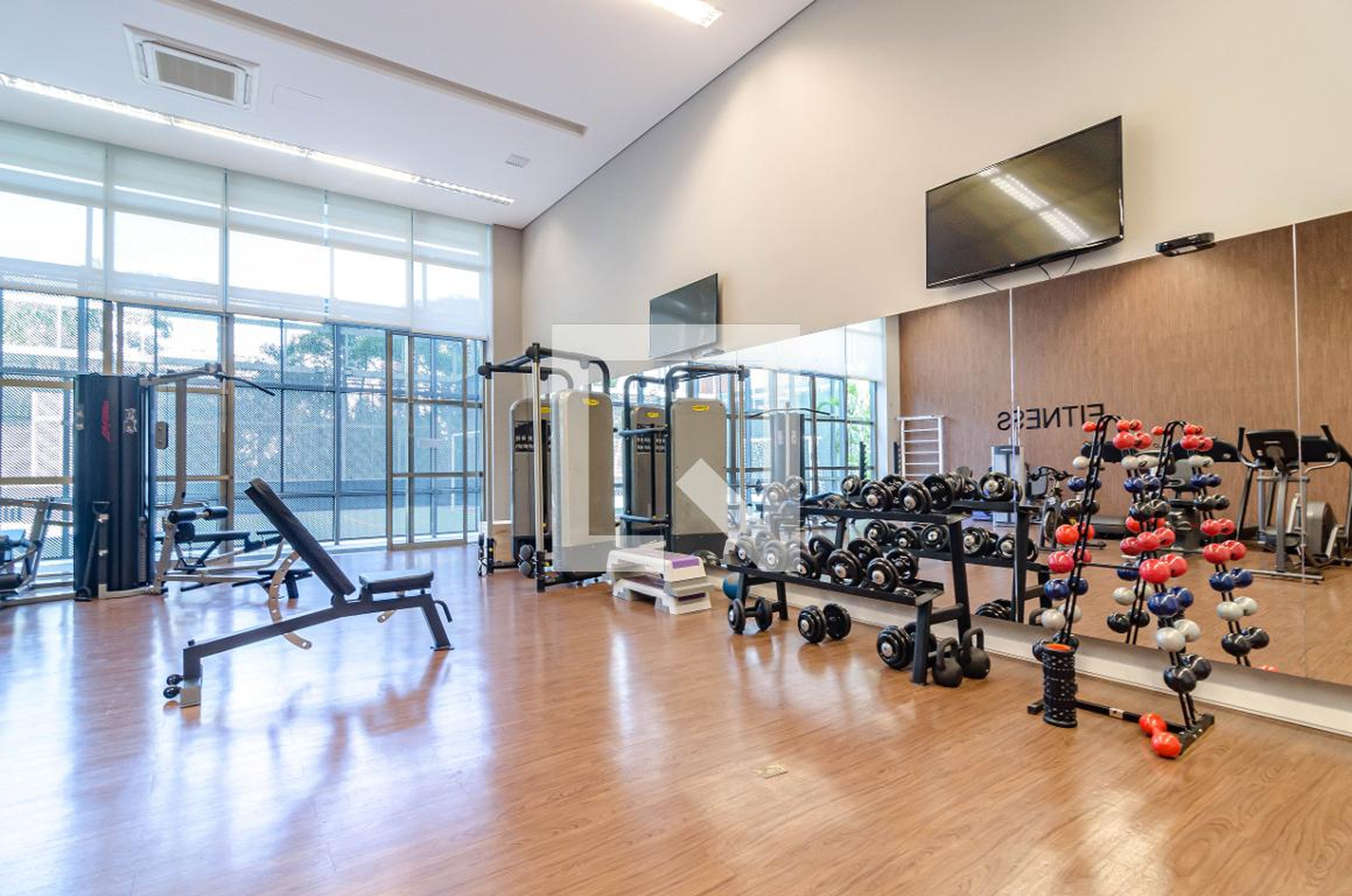 Academia - The Singular Paraiso