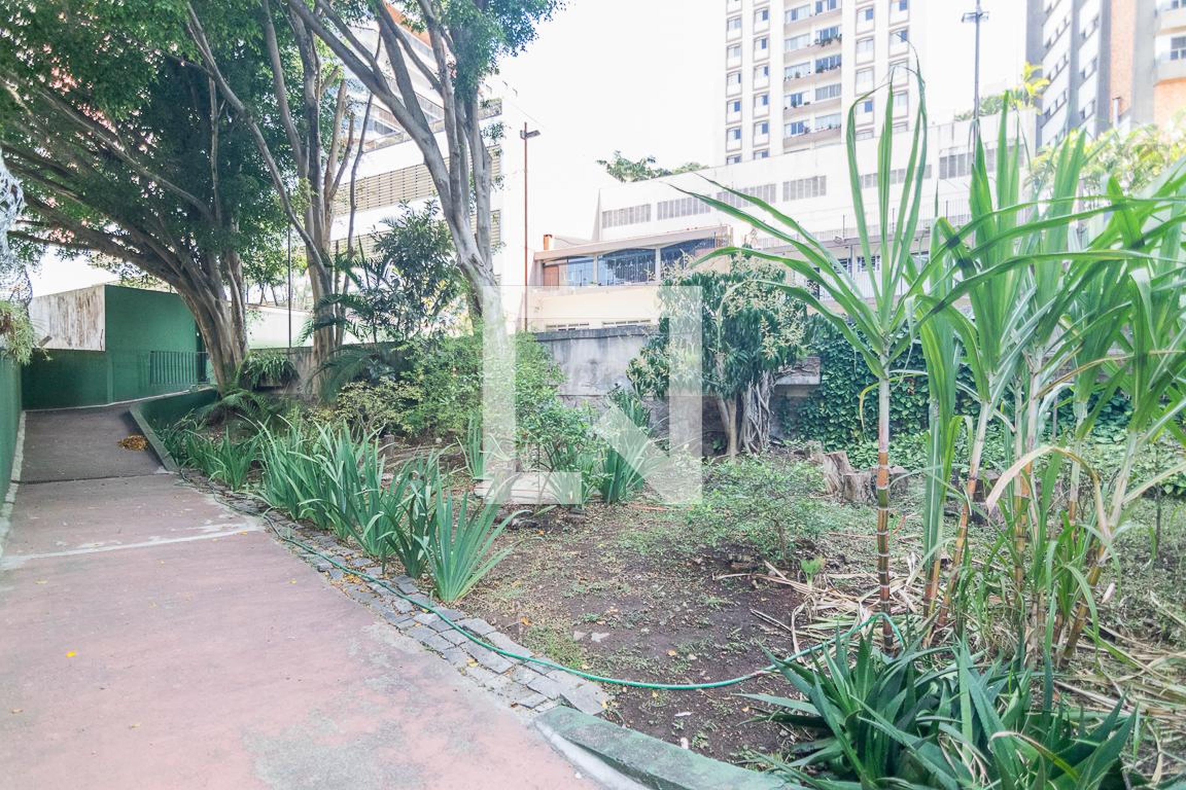 Espaço Pet - Edifício Veneza