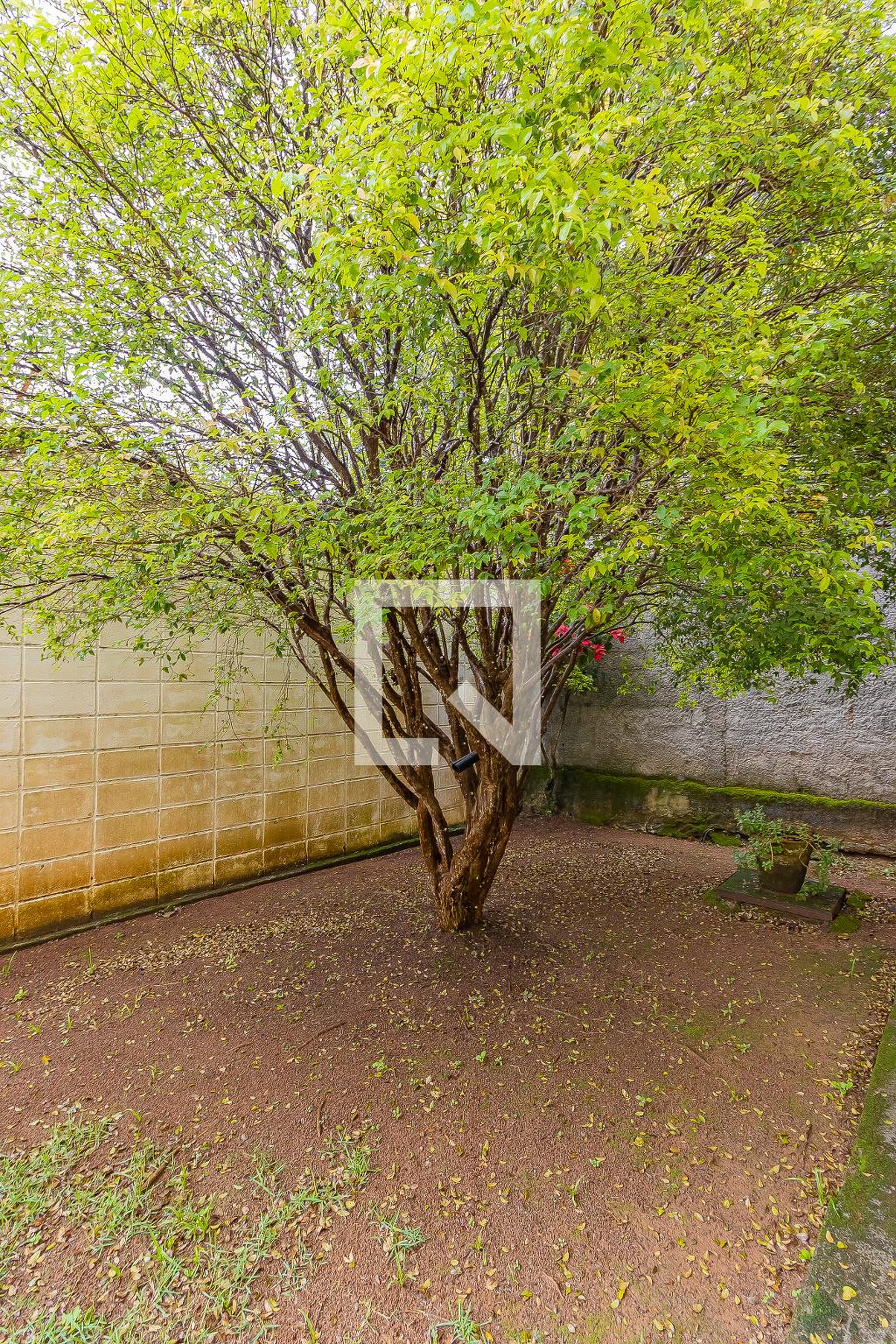 Área comum - Speranza