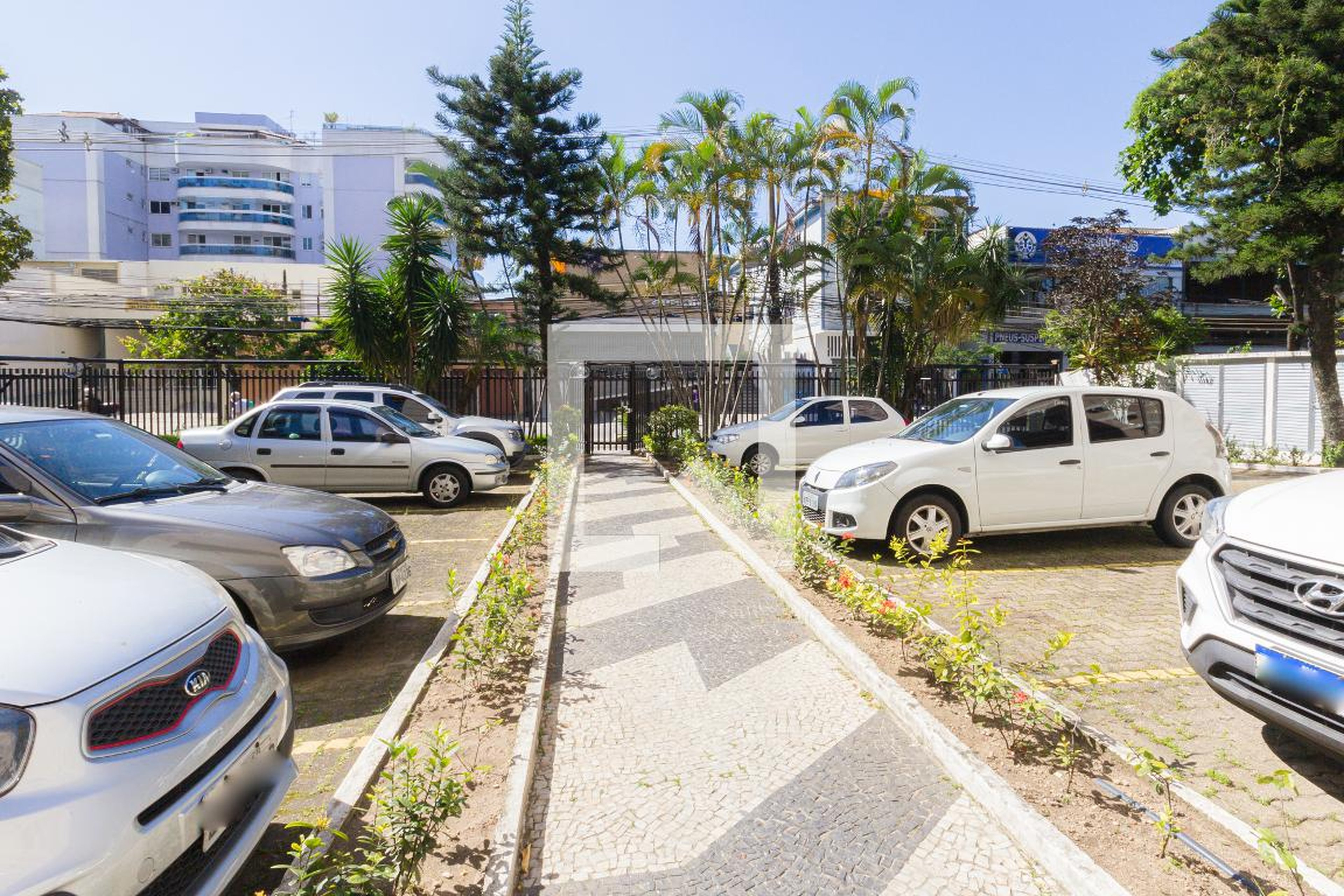 Entrada - ado de Montemor