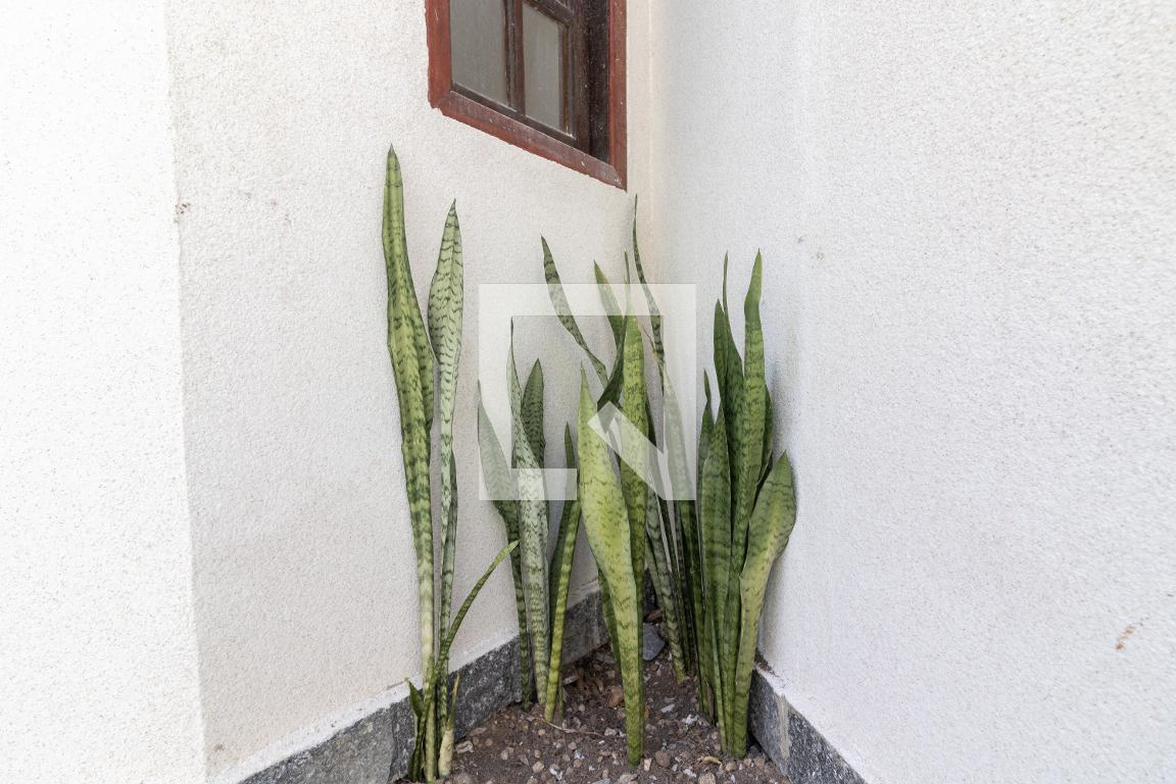 Área externa - Village do Maciço