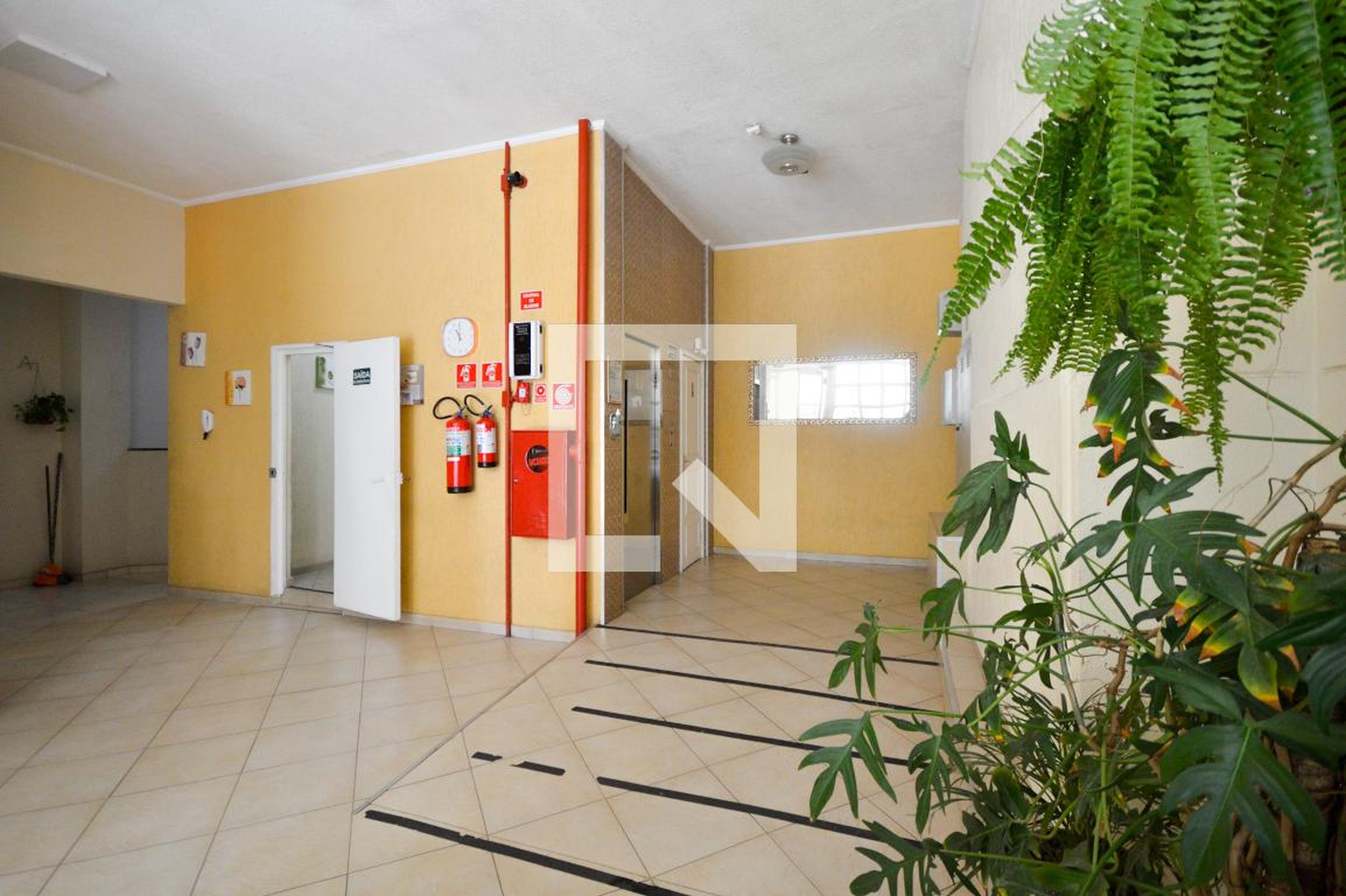 Hall social - Maria Paula