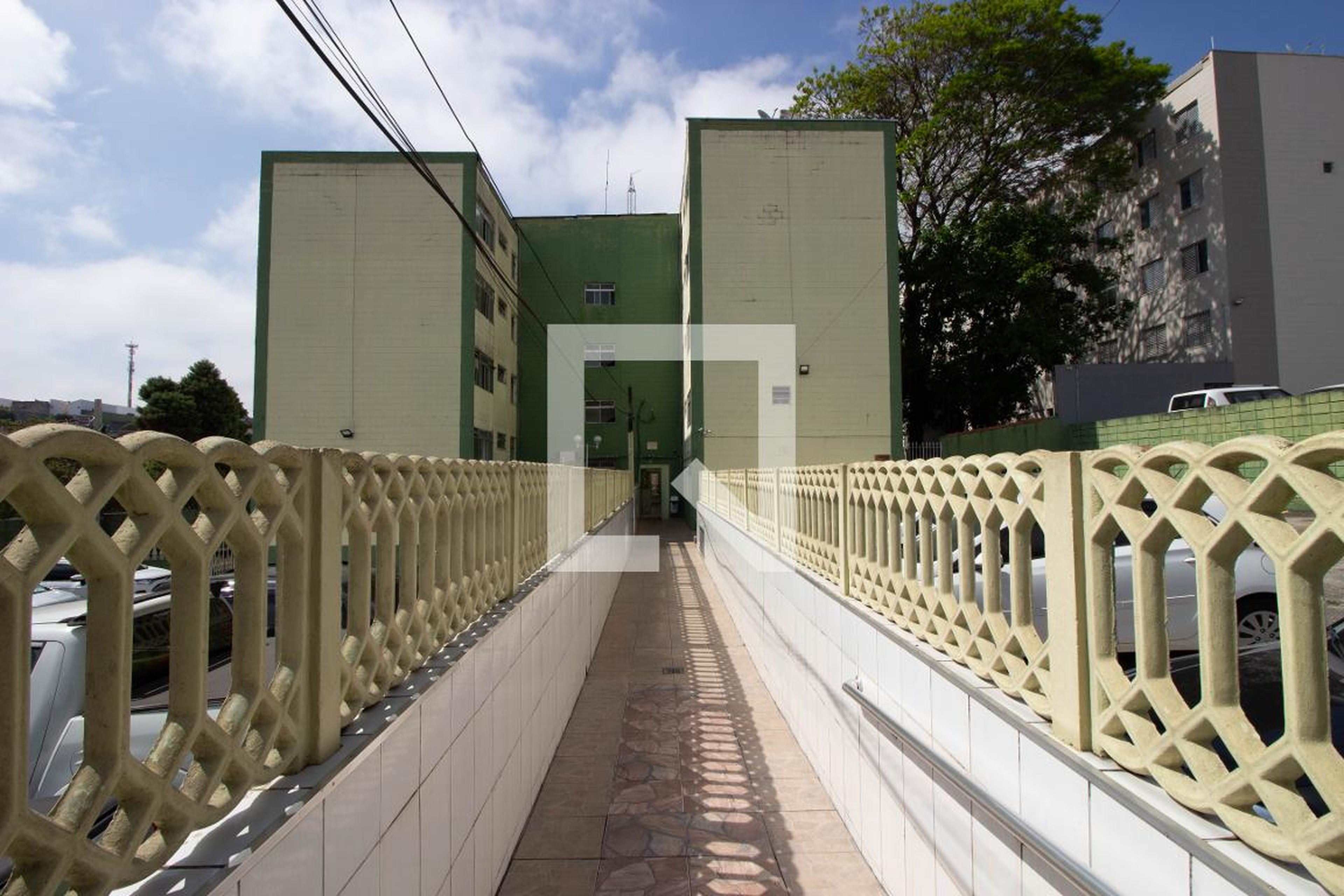 Hall de Entrada - Lauraceas III