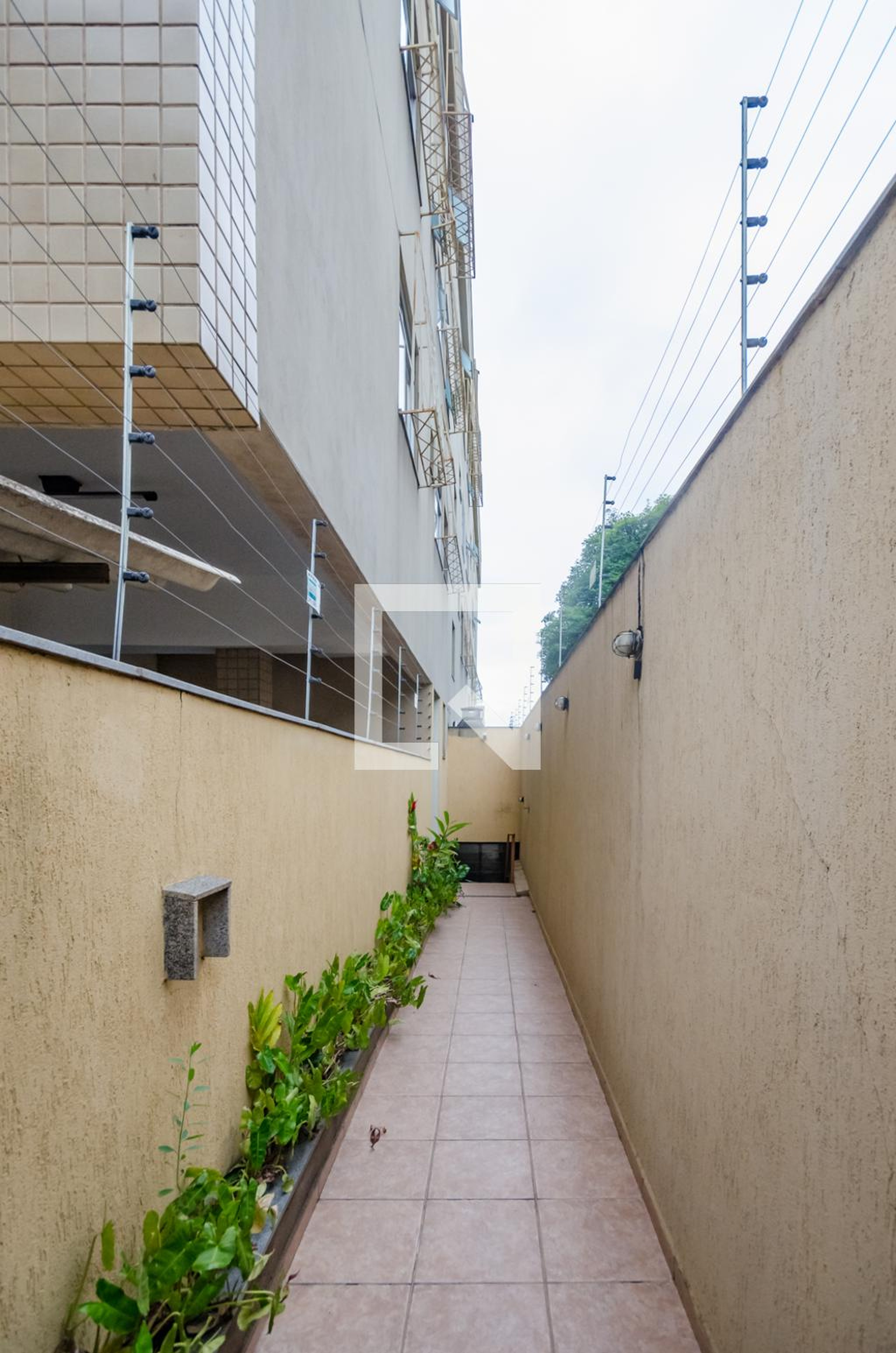 Entrada - DR Roberto Amorim