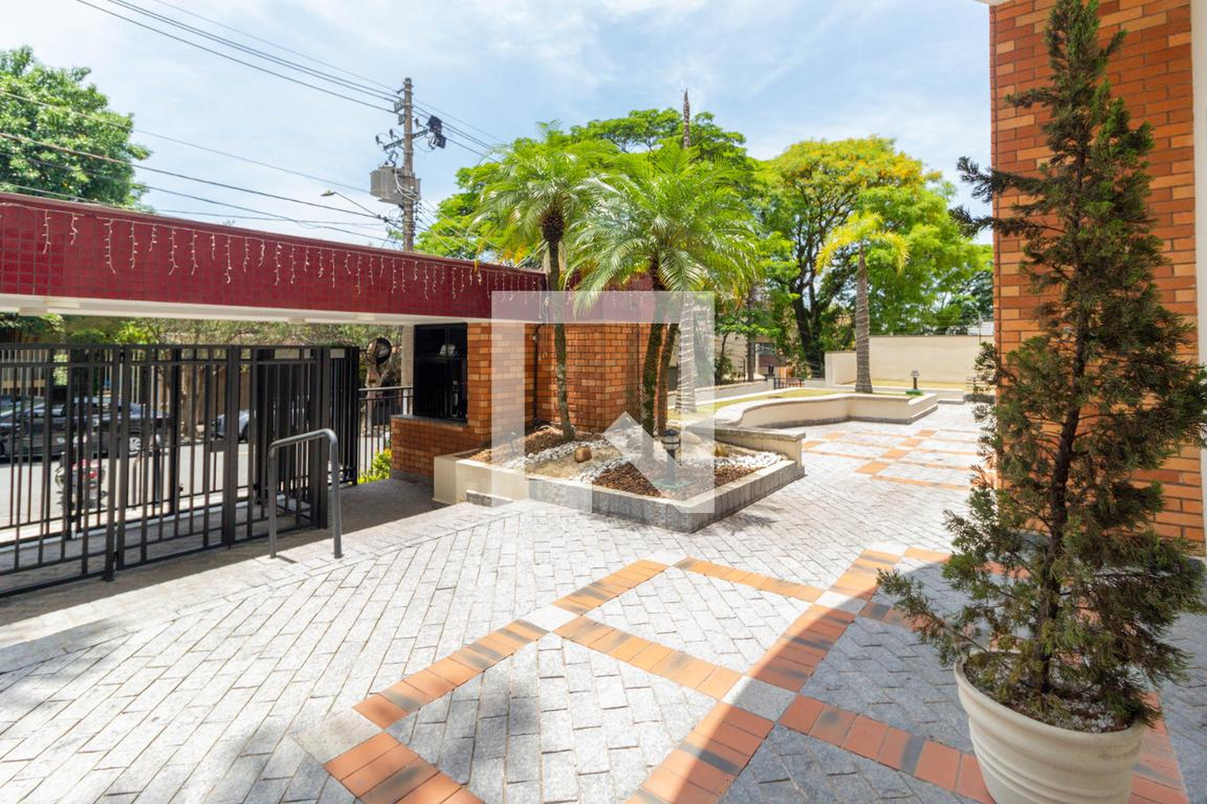 Entrada - New Island