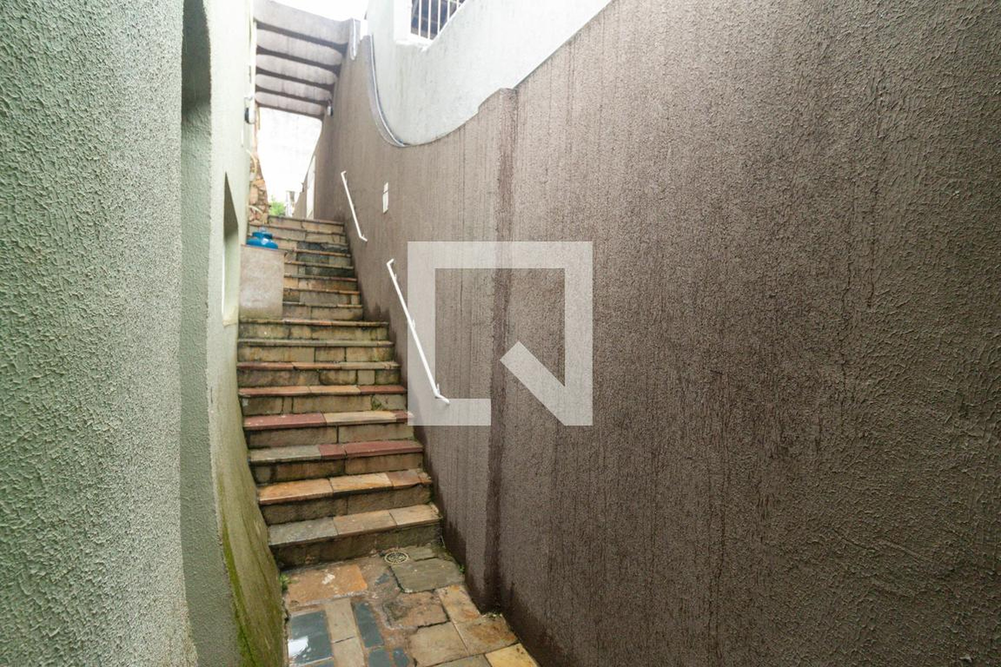 Entrada - Nelson Zachi