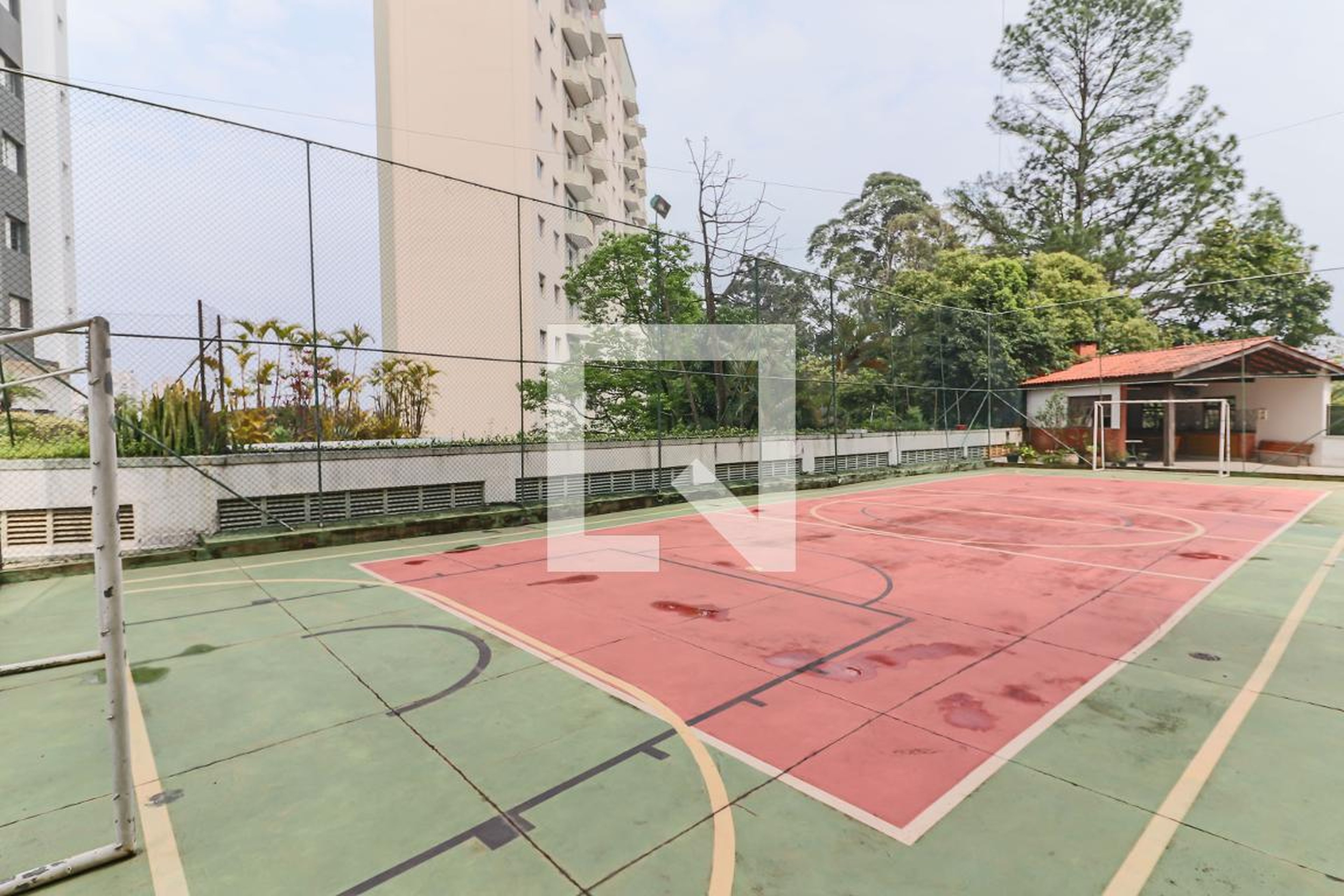 Quadra - Pioneer III