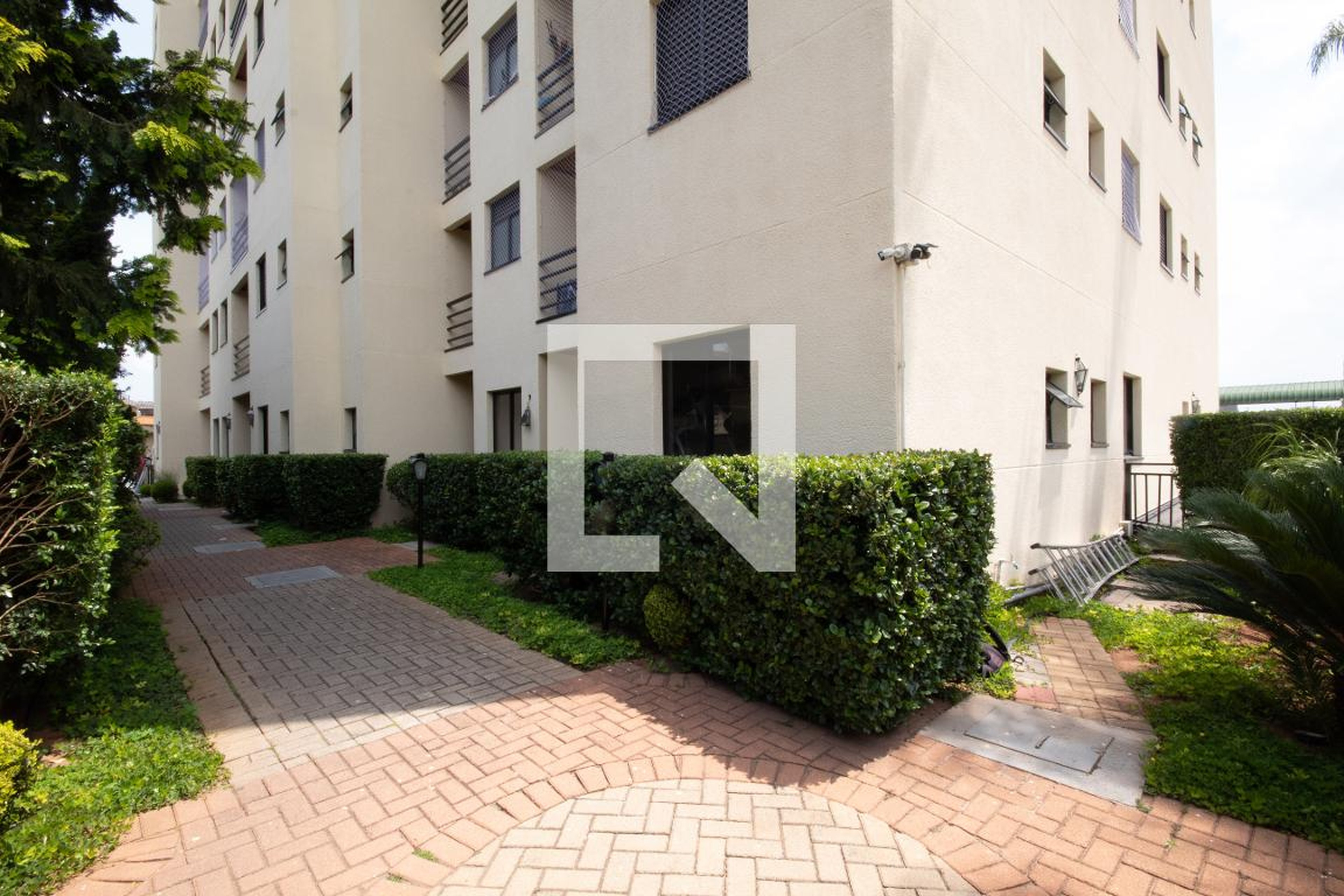 Entrada - Ibis Ecologic