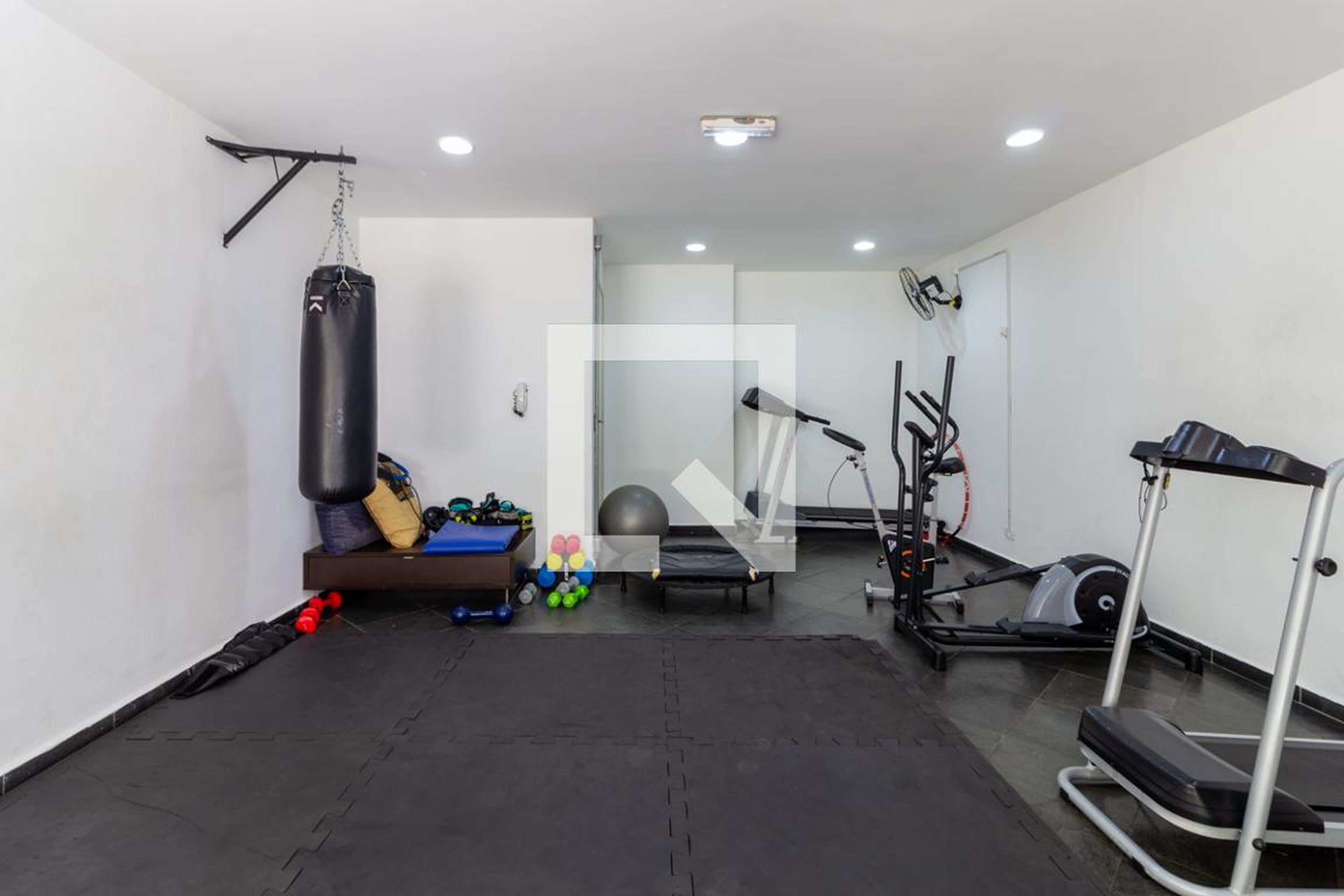 Academia - Birds Garden