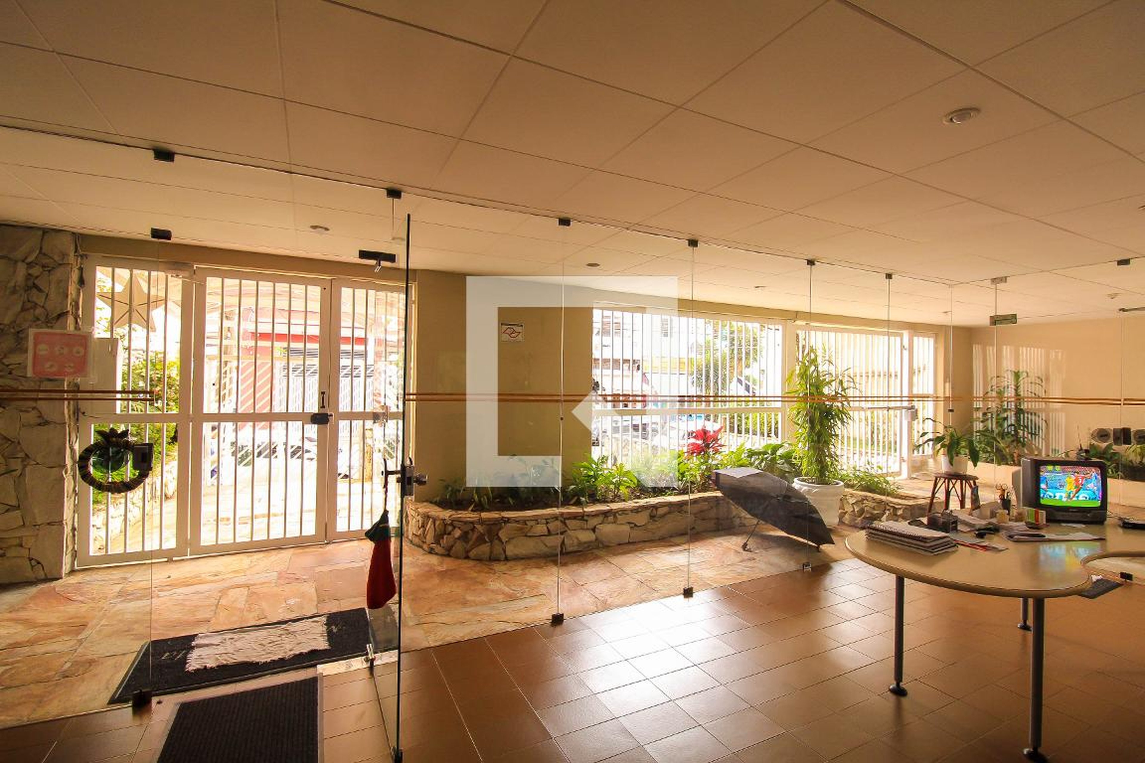 Hall - Maria candida