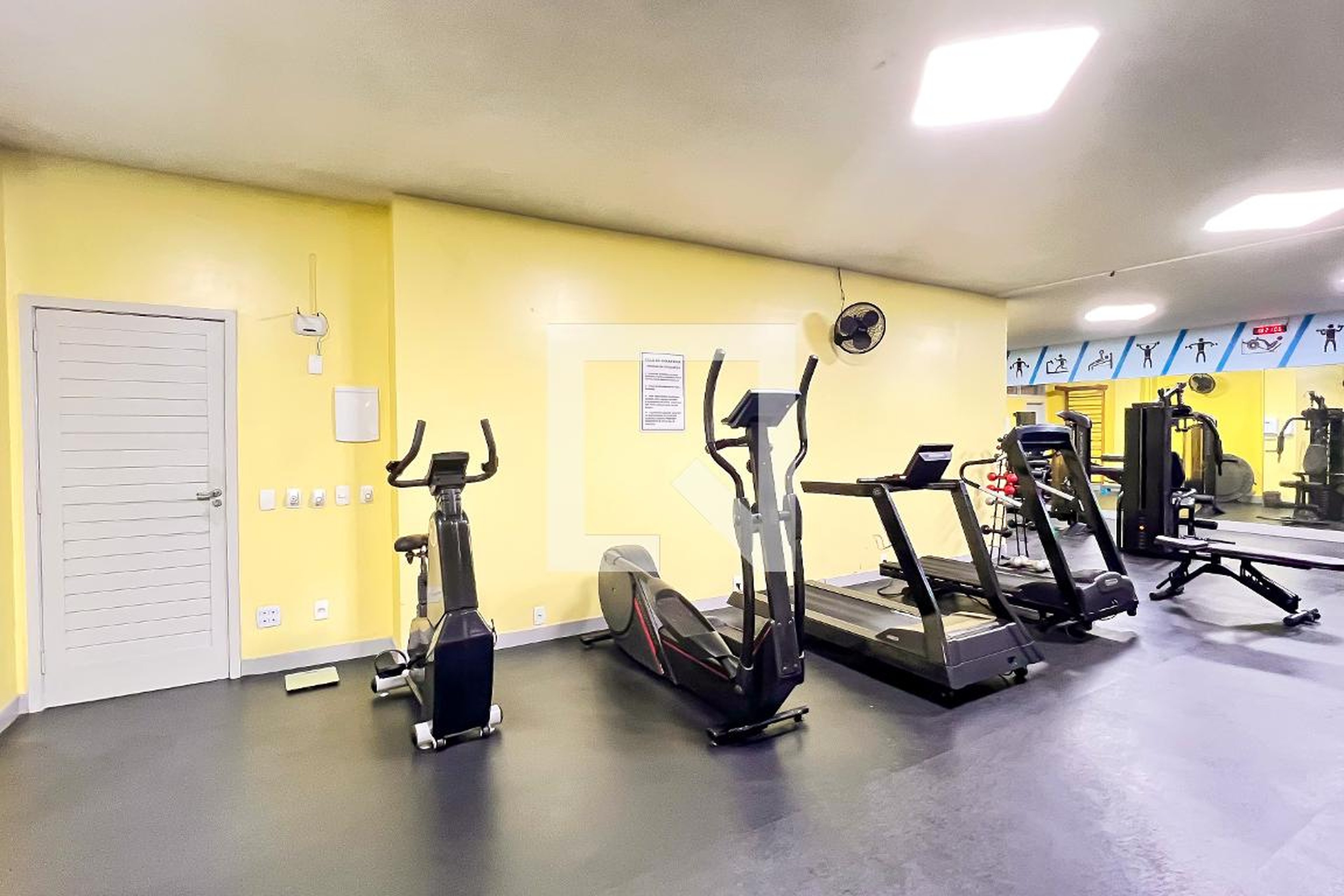 Academia - Sunshine Drive