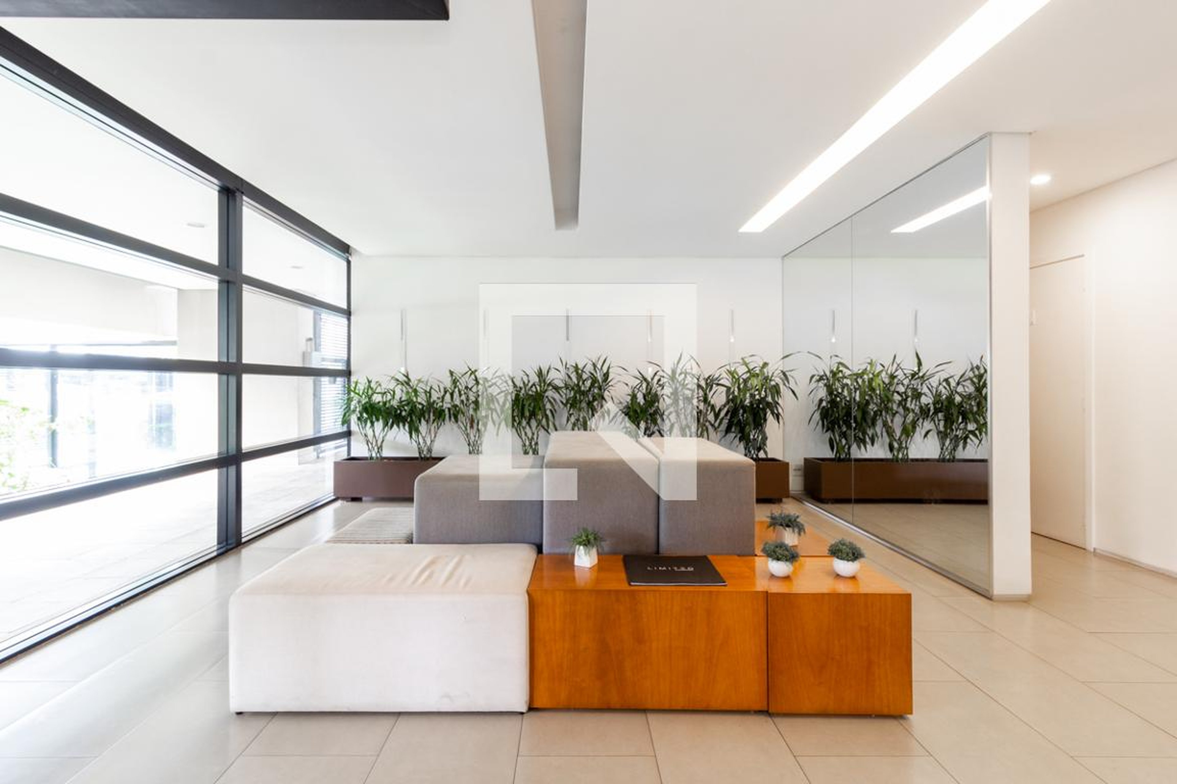Hall Social - Limited Funchal