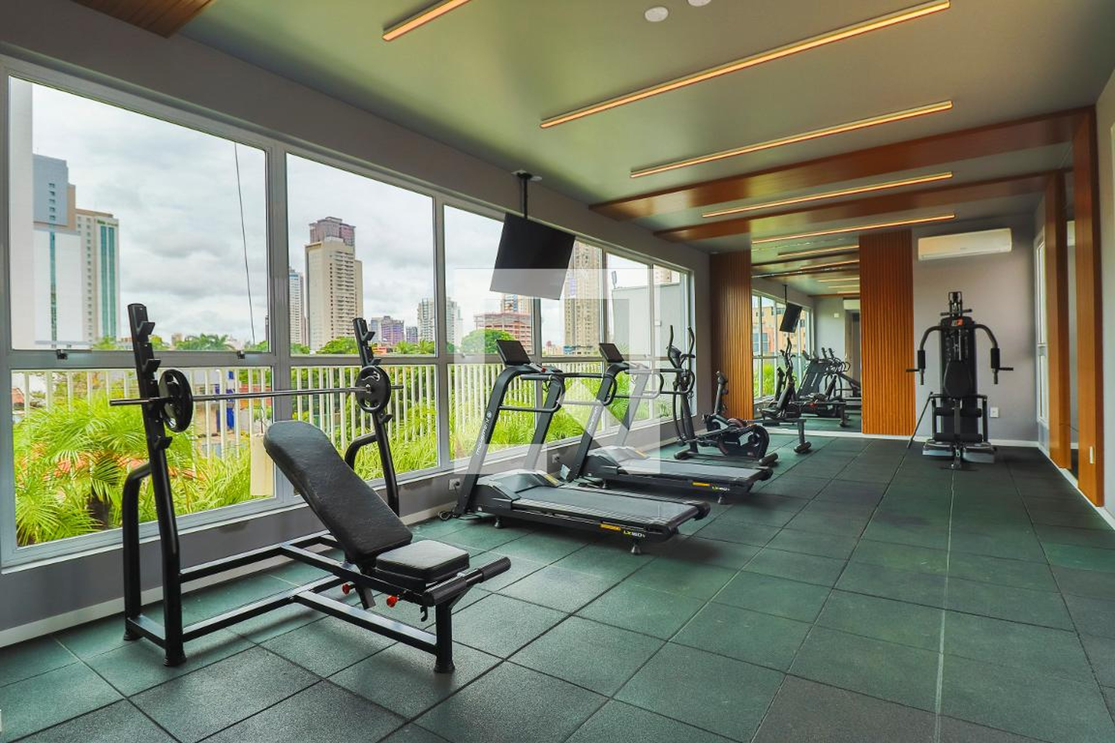 Academia - Ekolife Style