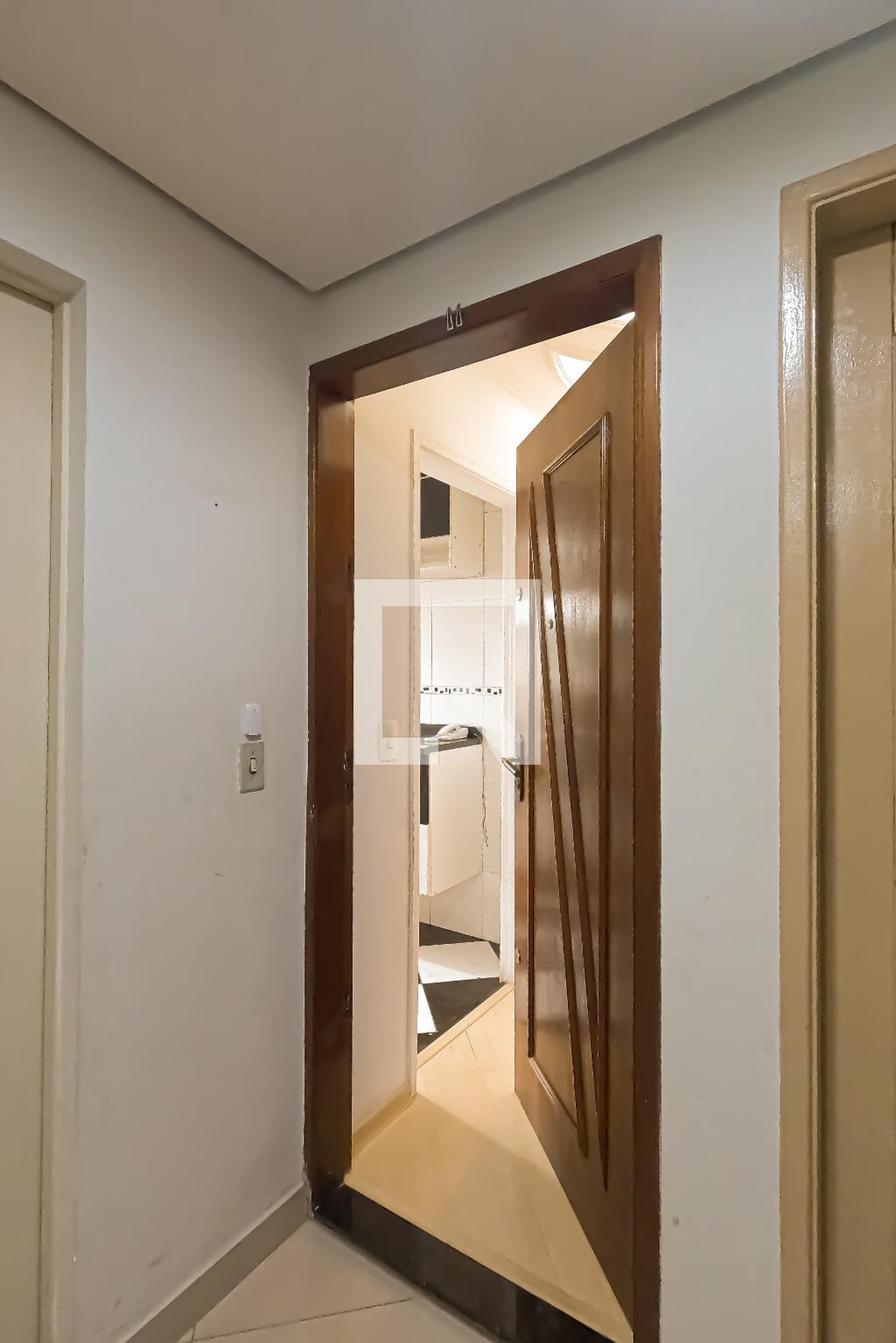 Entrada - Monte Carlo