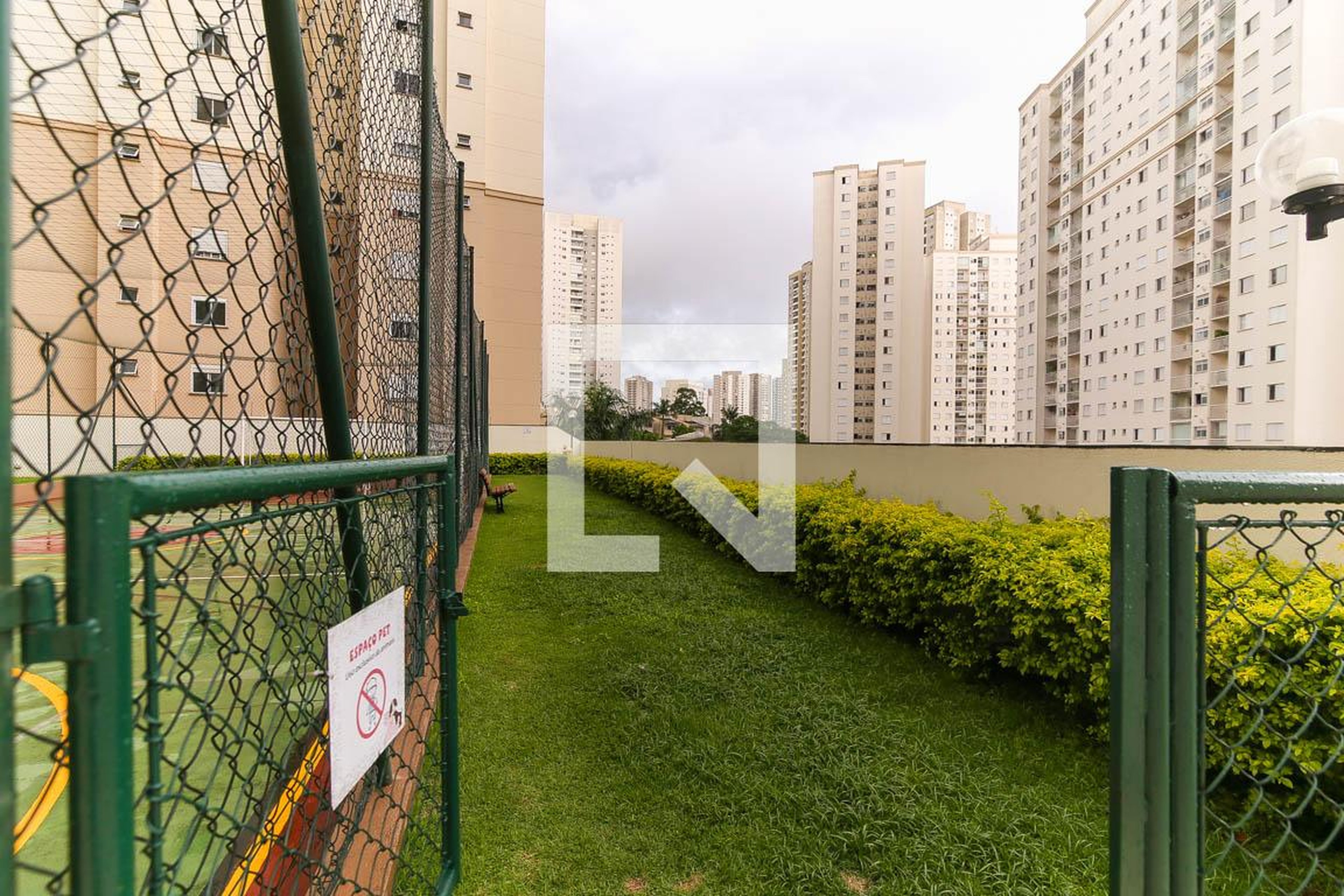 Espaço pet - Saint Marteen