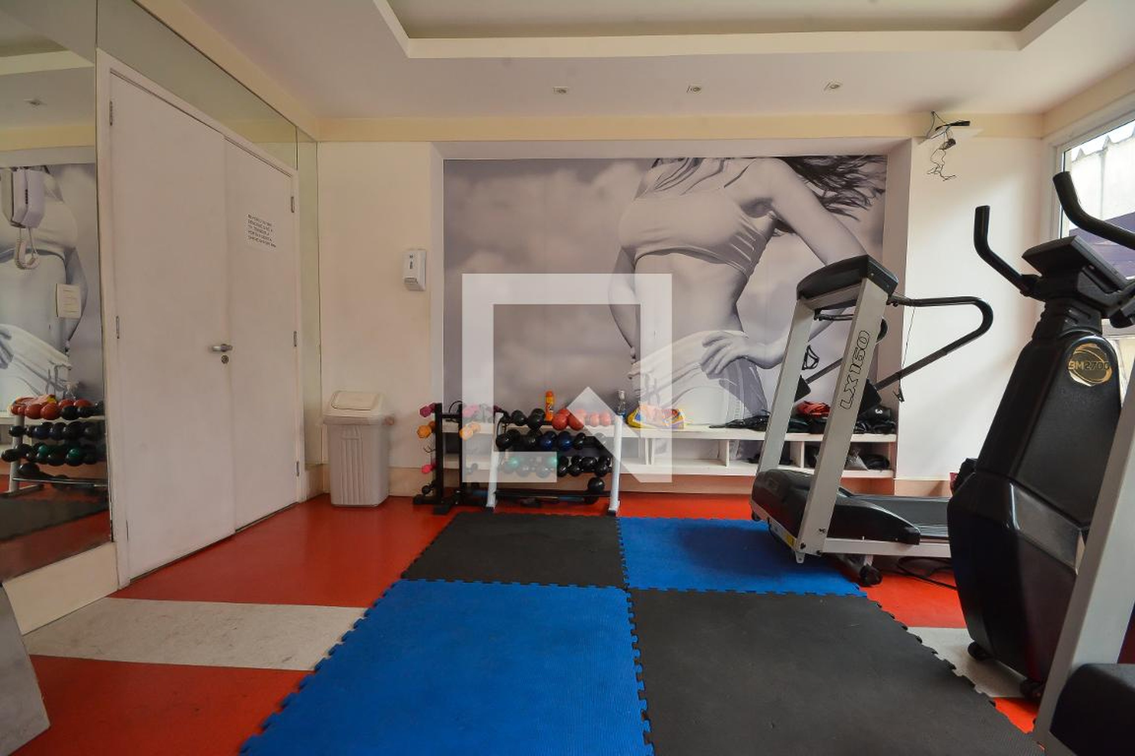 Academia - Bella Donna