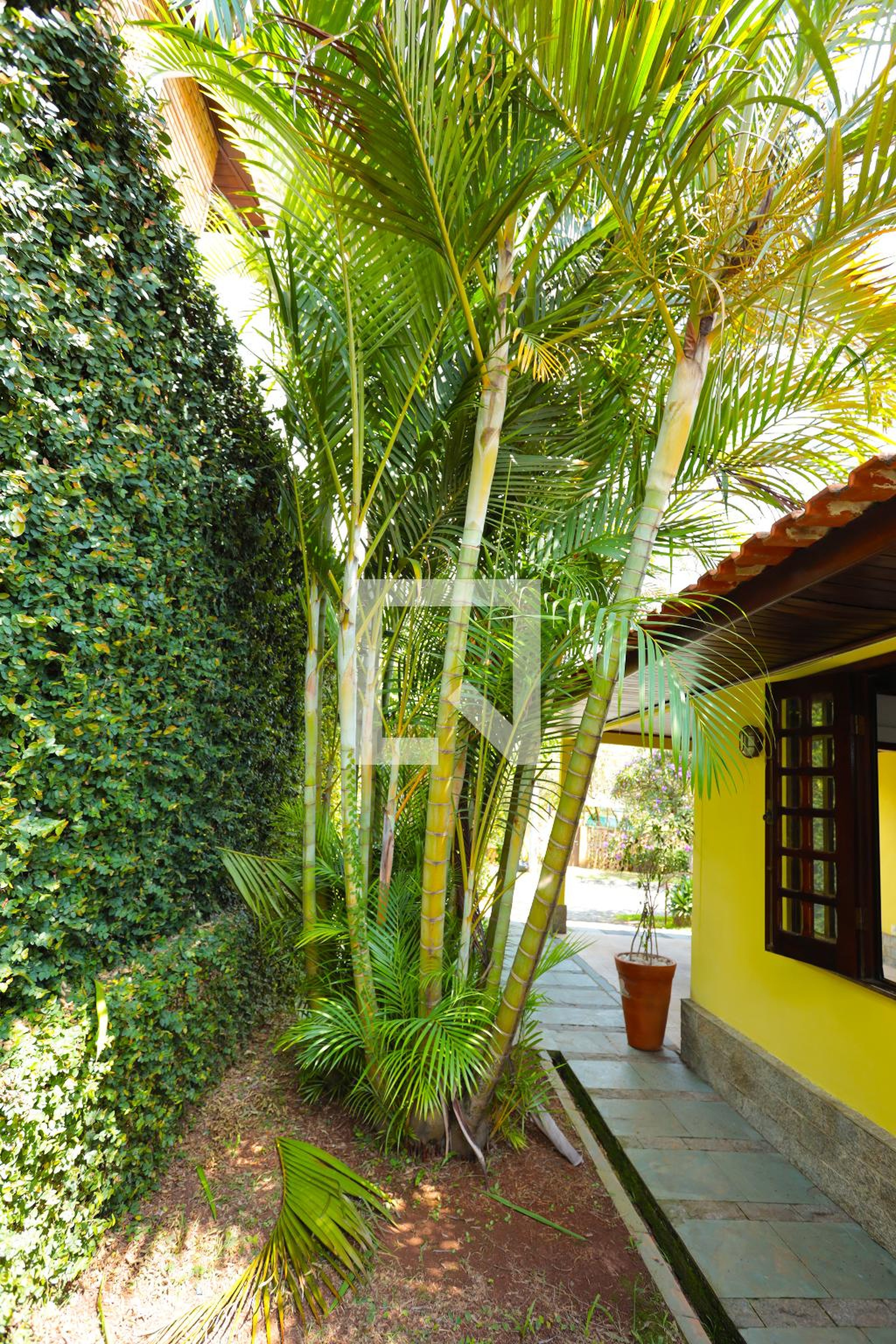 Área externa Condomínio São Paulo 2